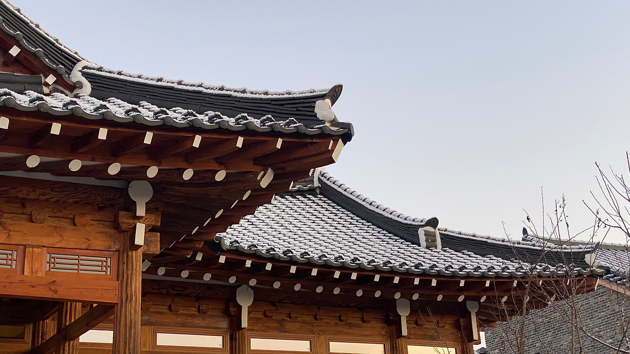 1 @김선진 3.jpg