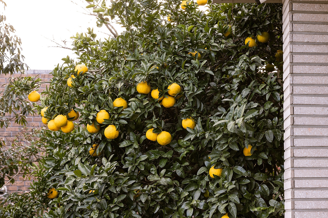 (스테이폴리오) 호근모루-63.jpg