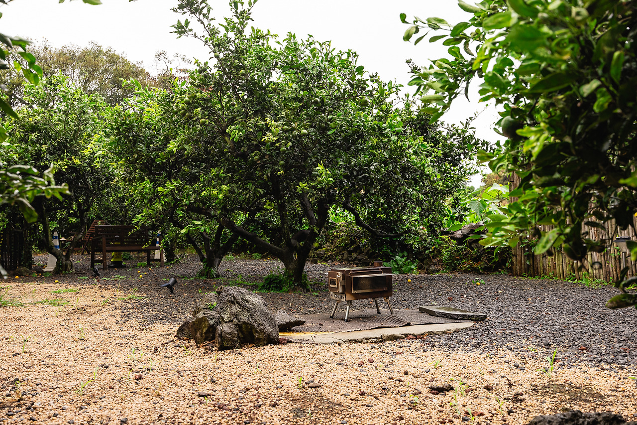 택하다, 스테이 (9).jpg