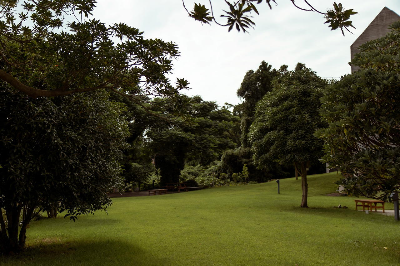 IMG_2785 - 복사본.jpg