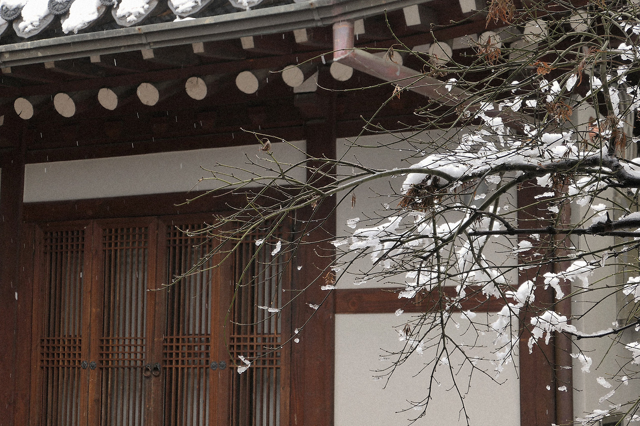 더채하우도 3.jpg