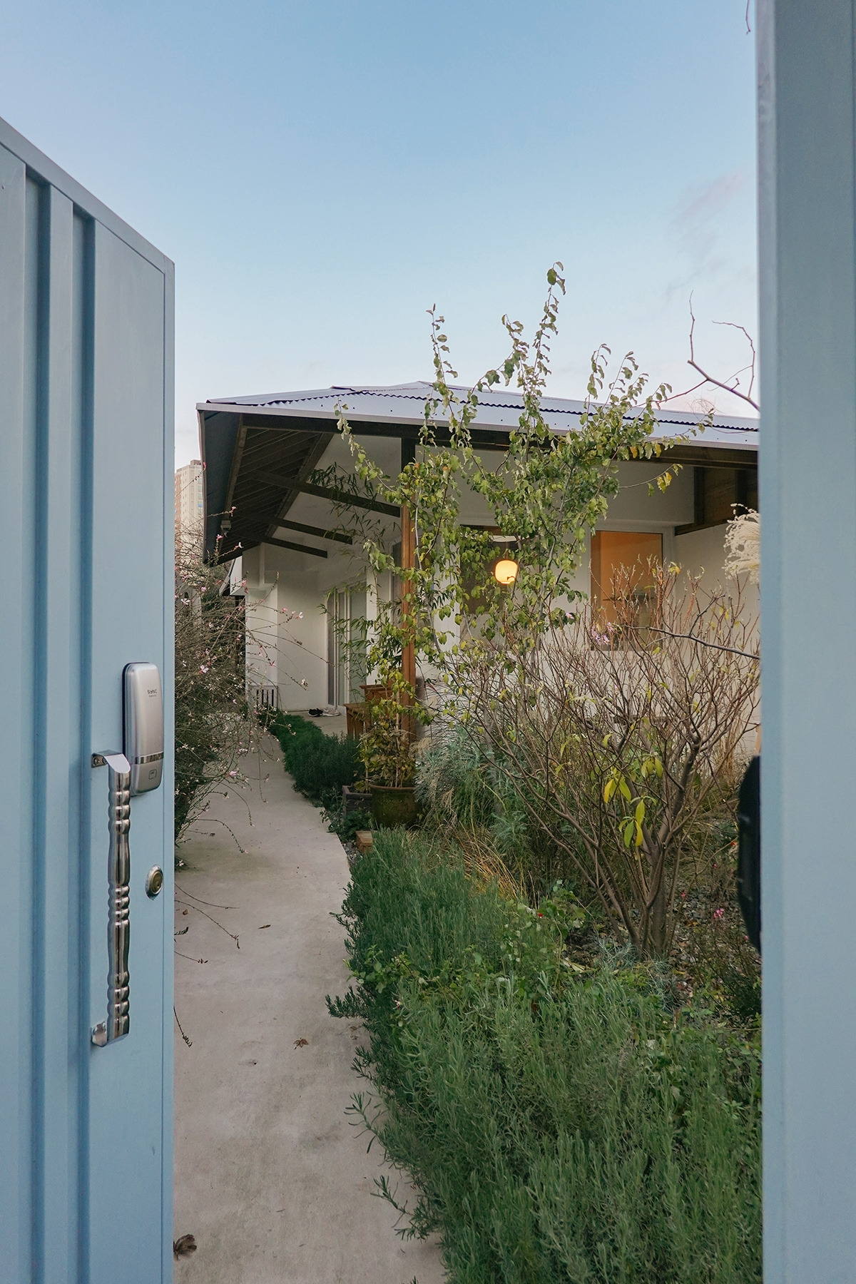 숲과생활 '숲'-8.jpg