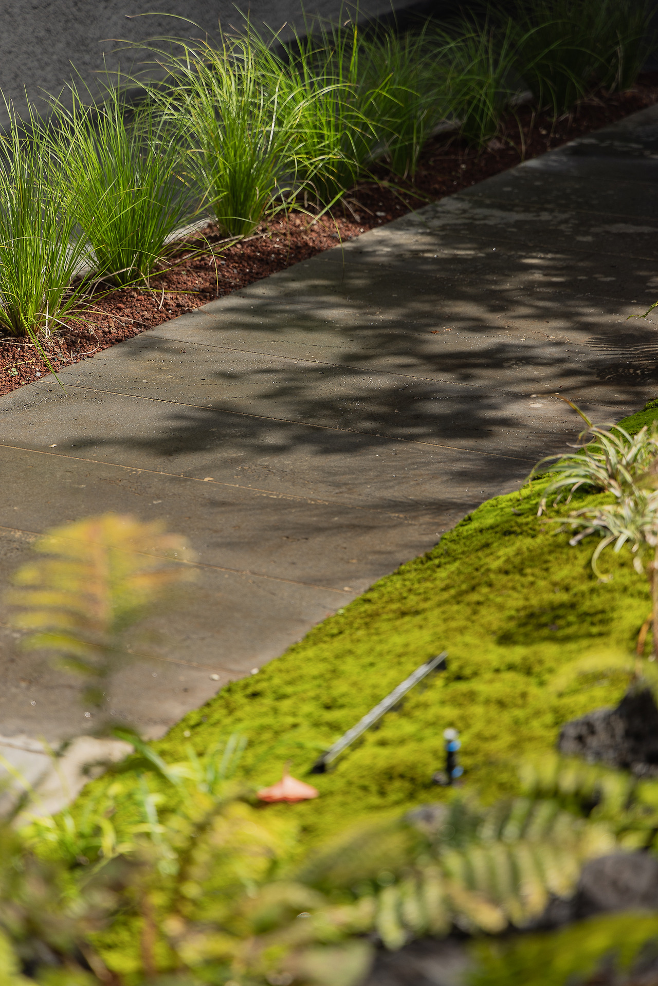 (스테이폴리오) 보스케-08.jpg