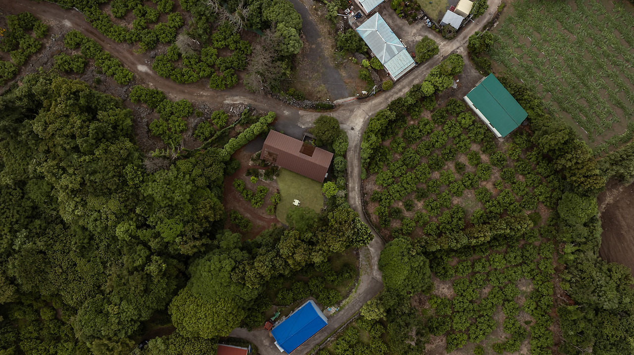 0. 소요소림 - 외부 전경 (2).jpg