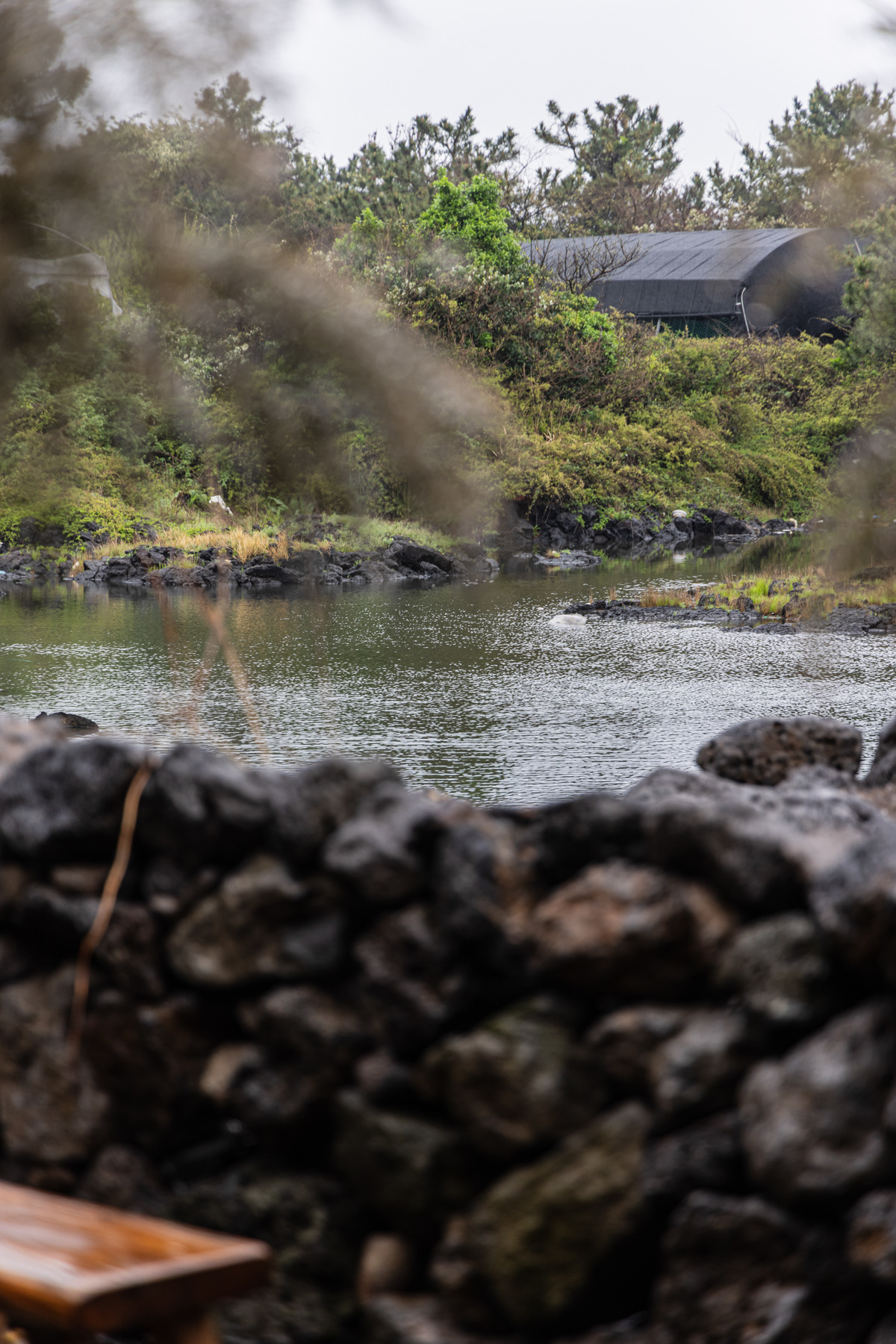 (그슬) 밤 (22).jpg