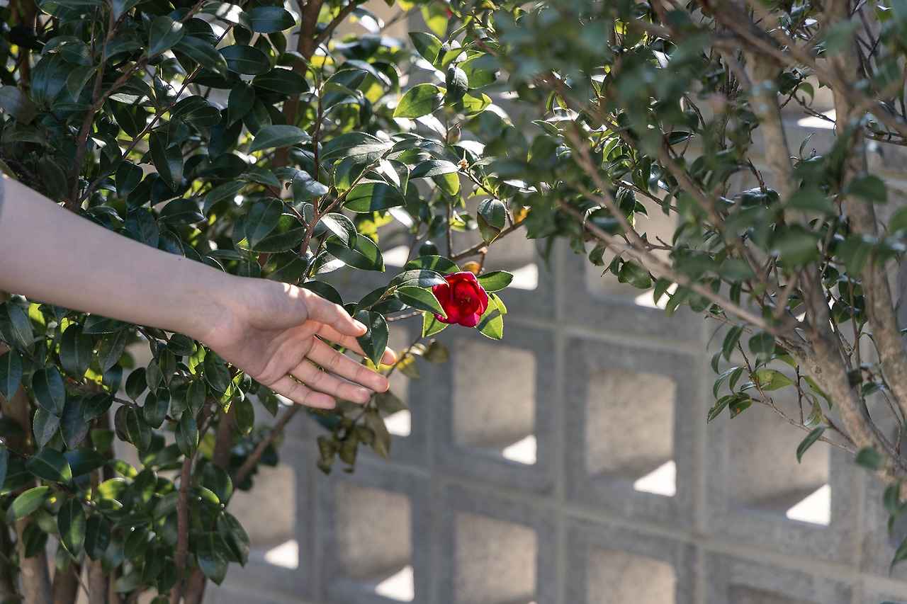 (스테이폴리오) 별시도룩-83.jpg