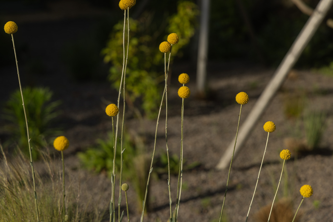 스테이 오아 - 익스테리어 (1).jpg