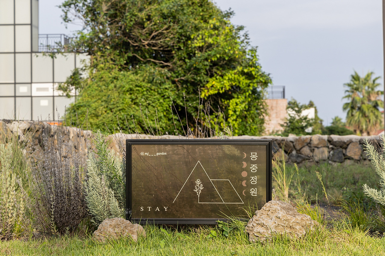 (스테이폴리오) 몽중정원 (9).jpg