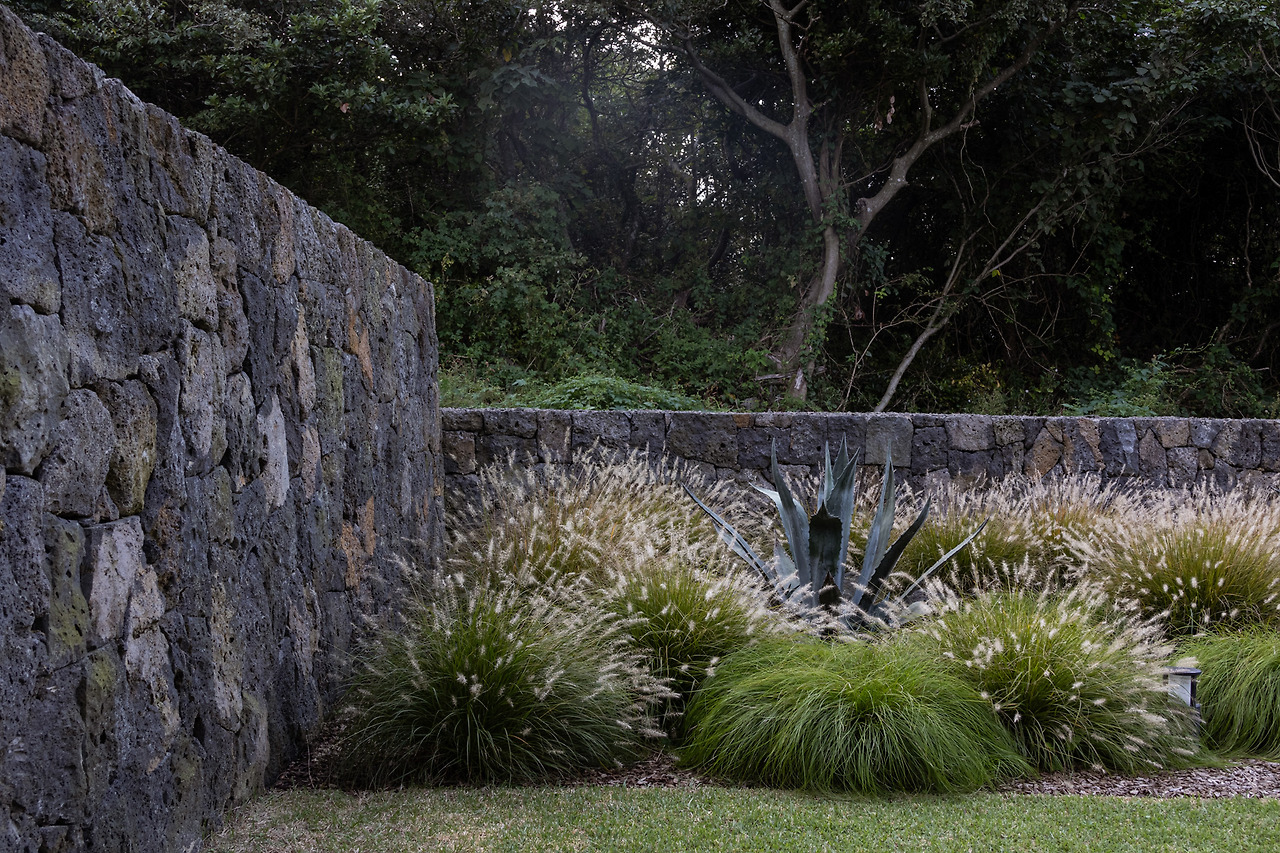 해우 (35).jpg