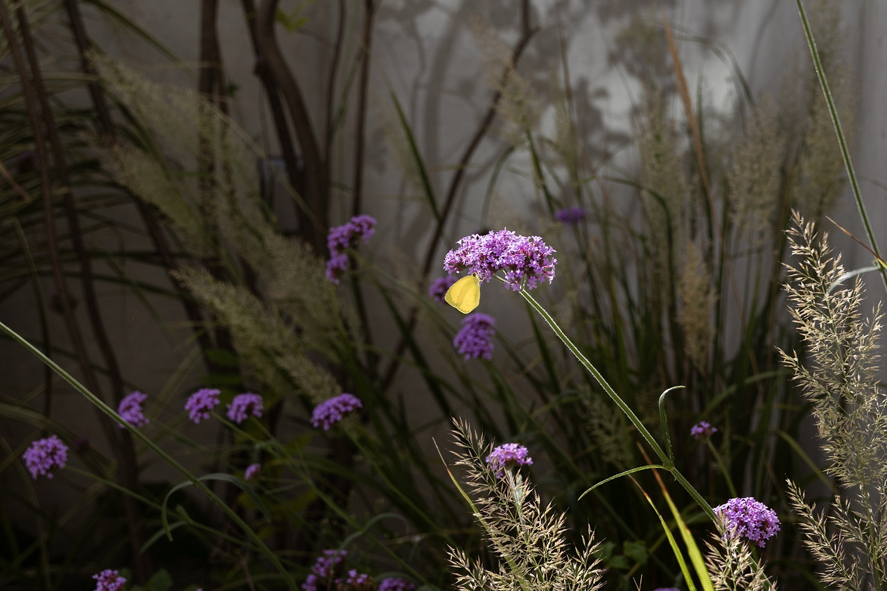 연와12 복사본.jpg