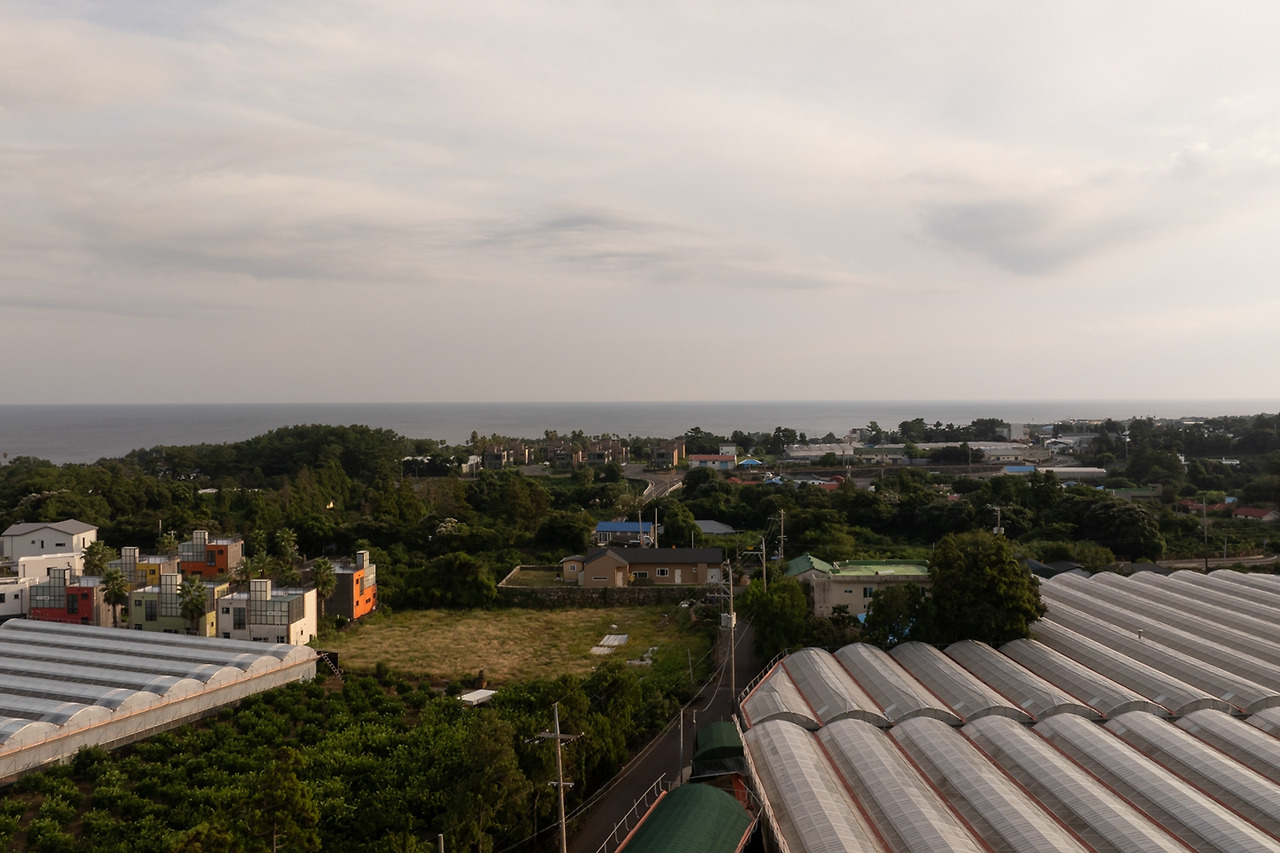 (스테이폴리오) 몽중정원 (5).jpg