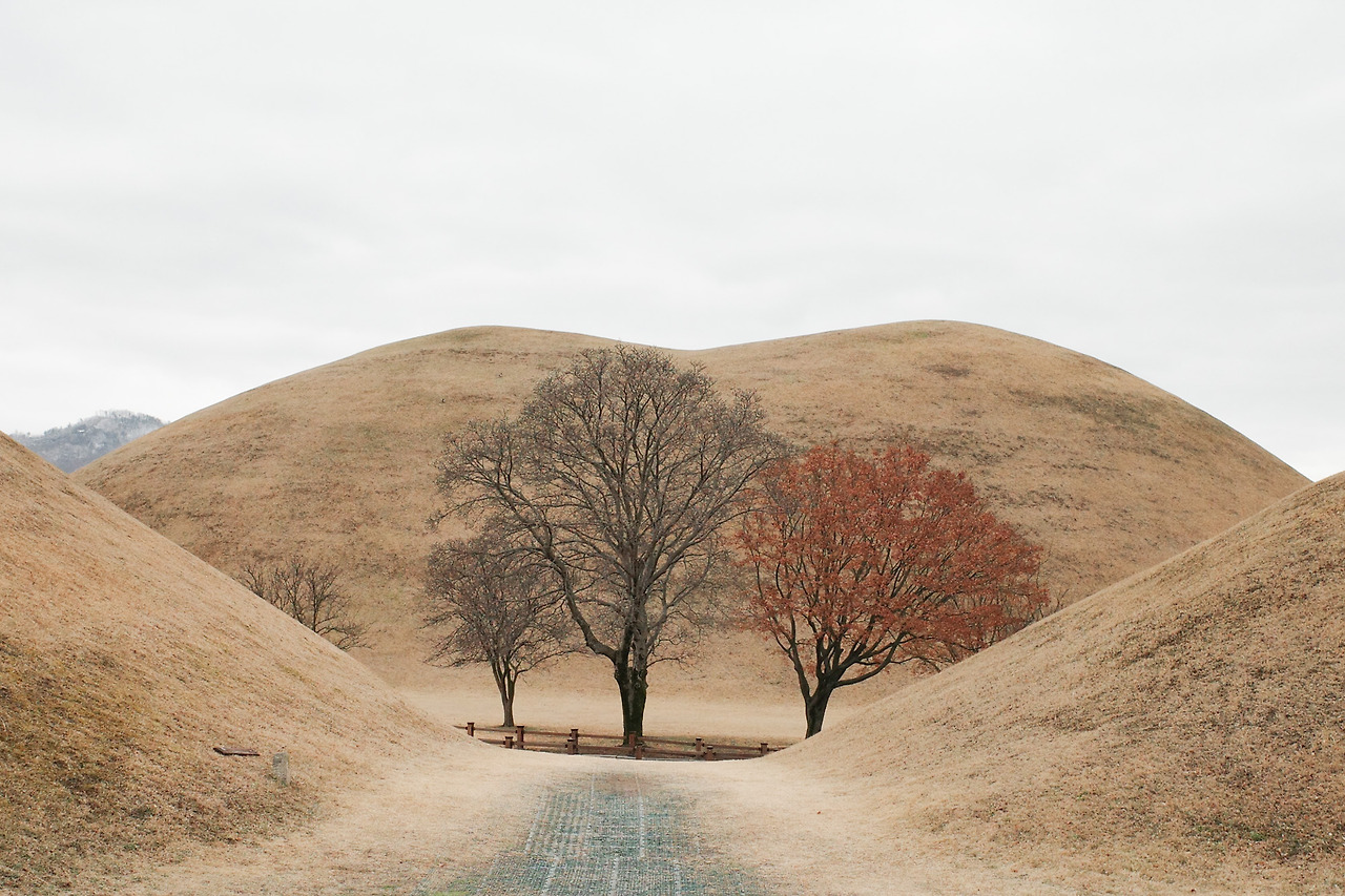 0 문화재.jpg