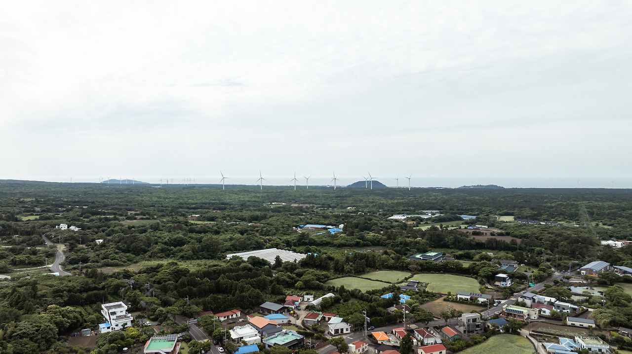 0. 소요소림 - 외부 전경 (3).jpg