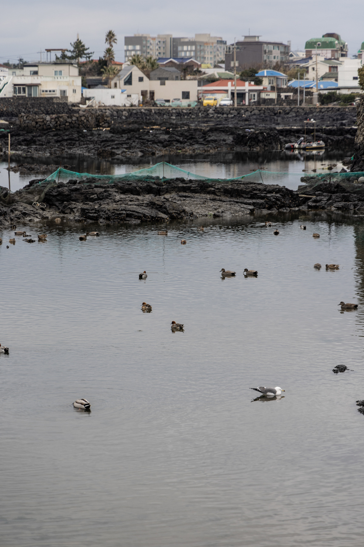 (스테이폴리오) 조차-11.jpg