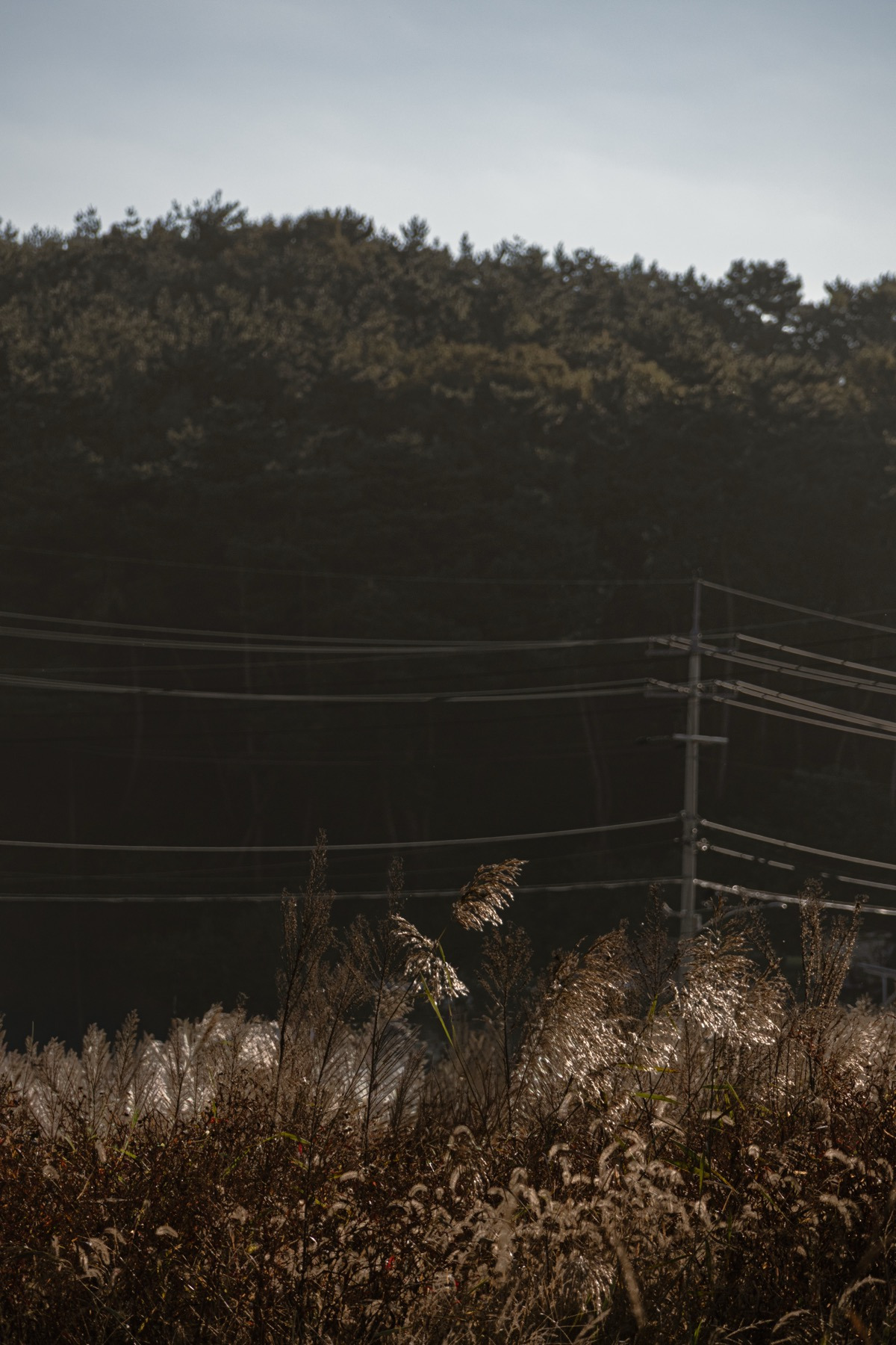 사색사계65 복사본.jpg