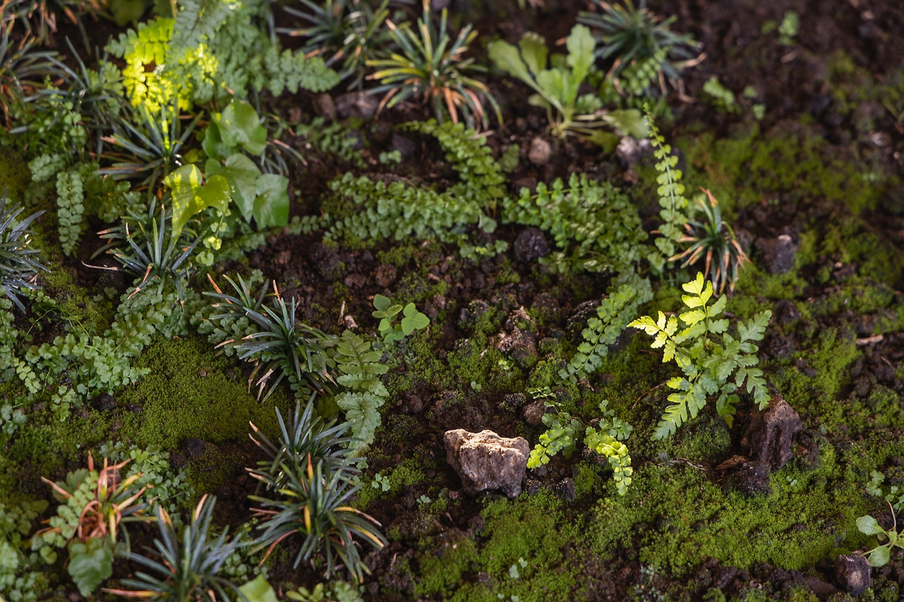 6 복사본.jpg