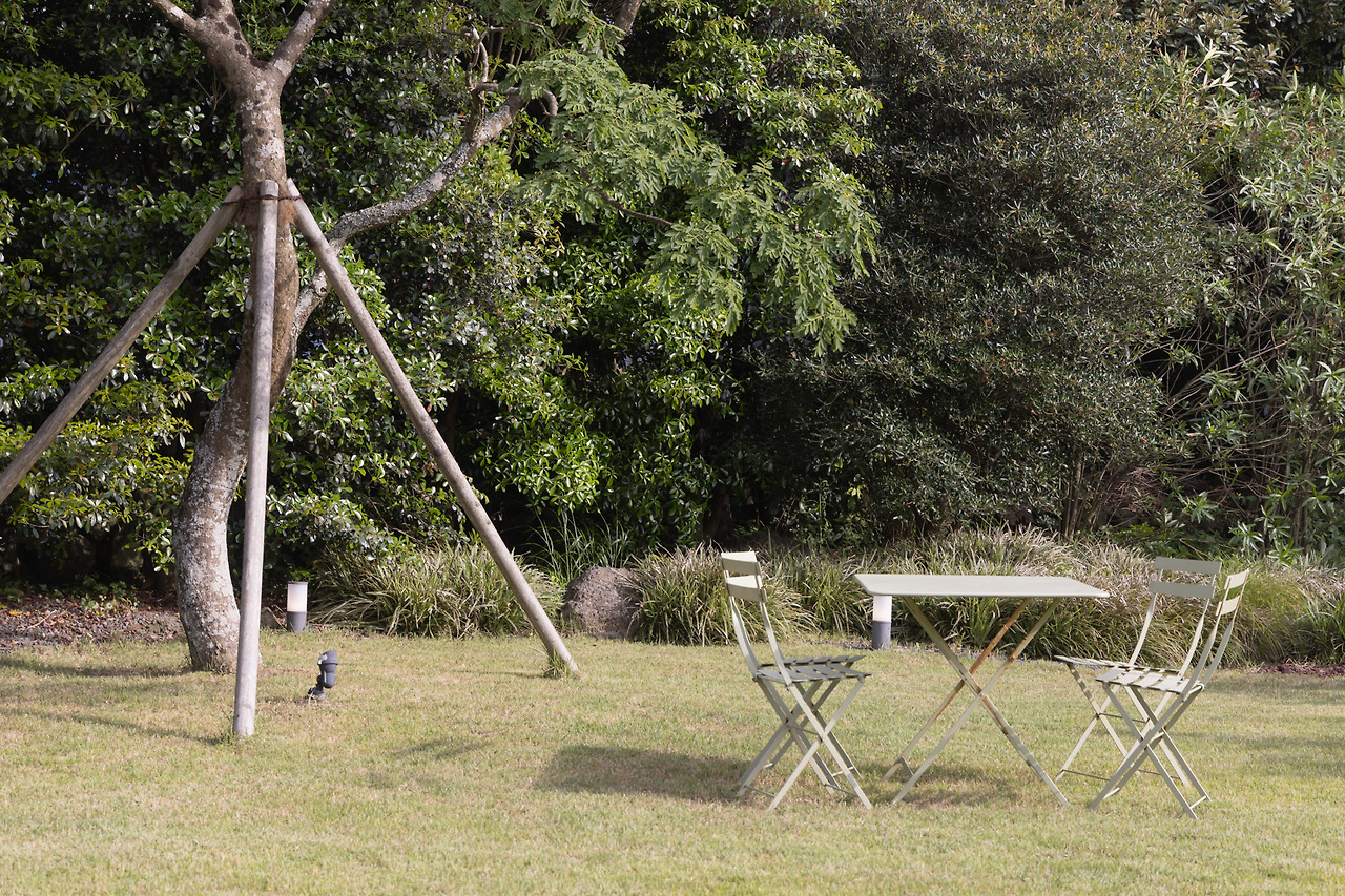 1. 소요소림 - 피크닉 및 산책 (3).jpg