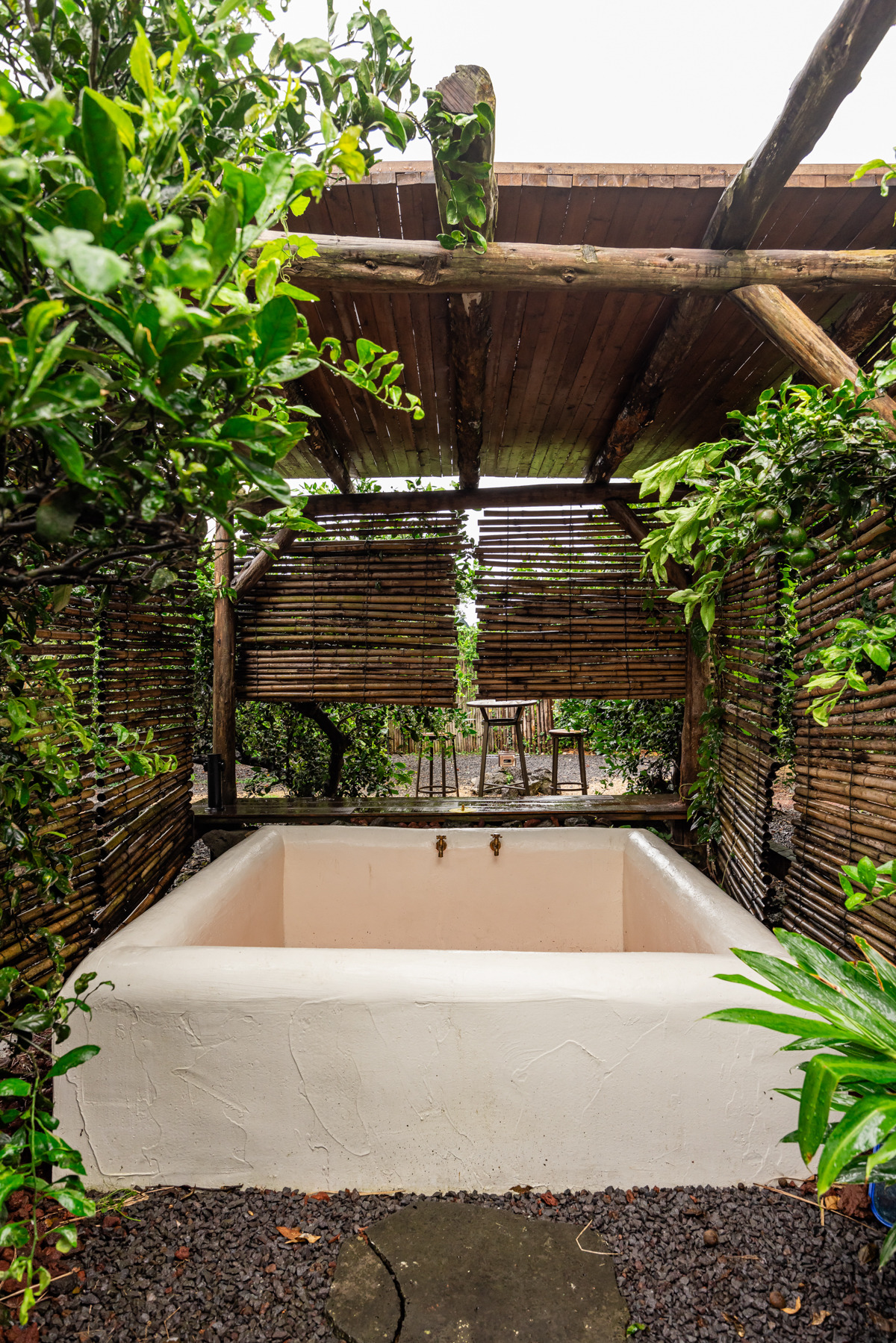 택하다, 스테이 (6).jpg