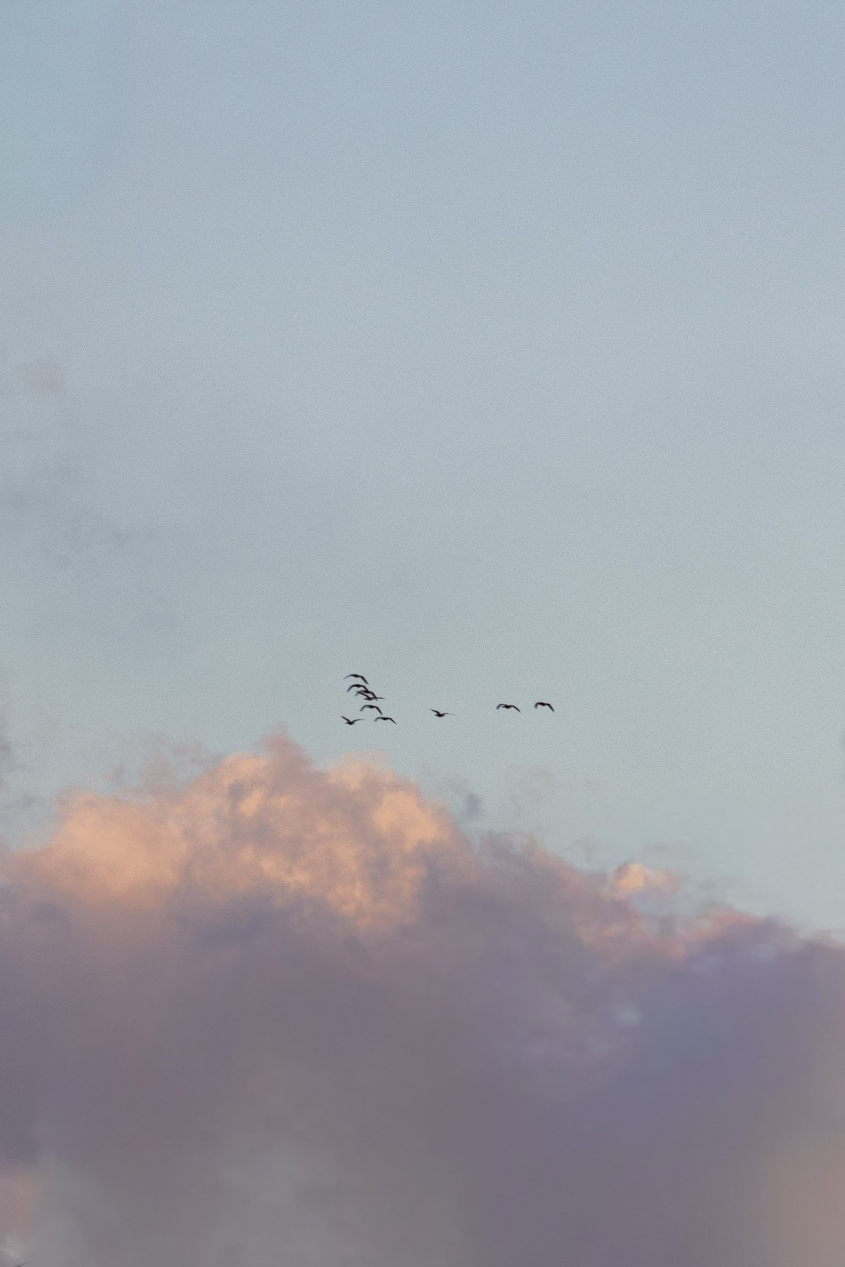 사색사계67 복사본.jpg