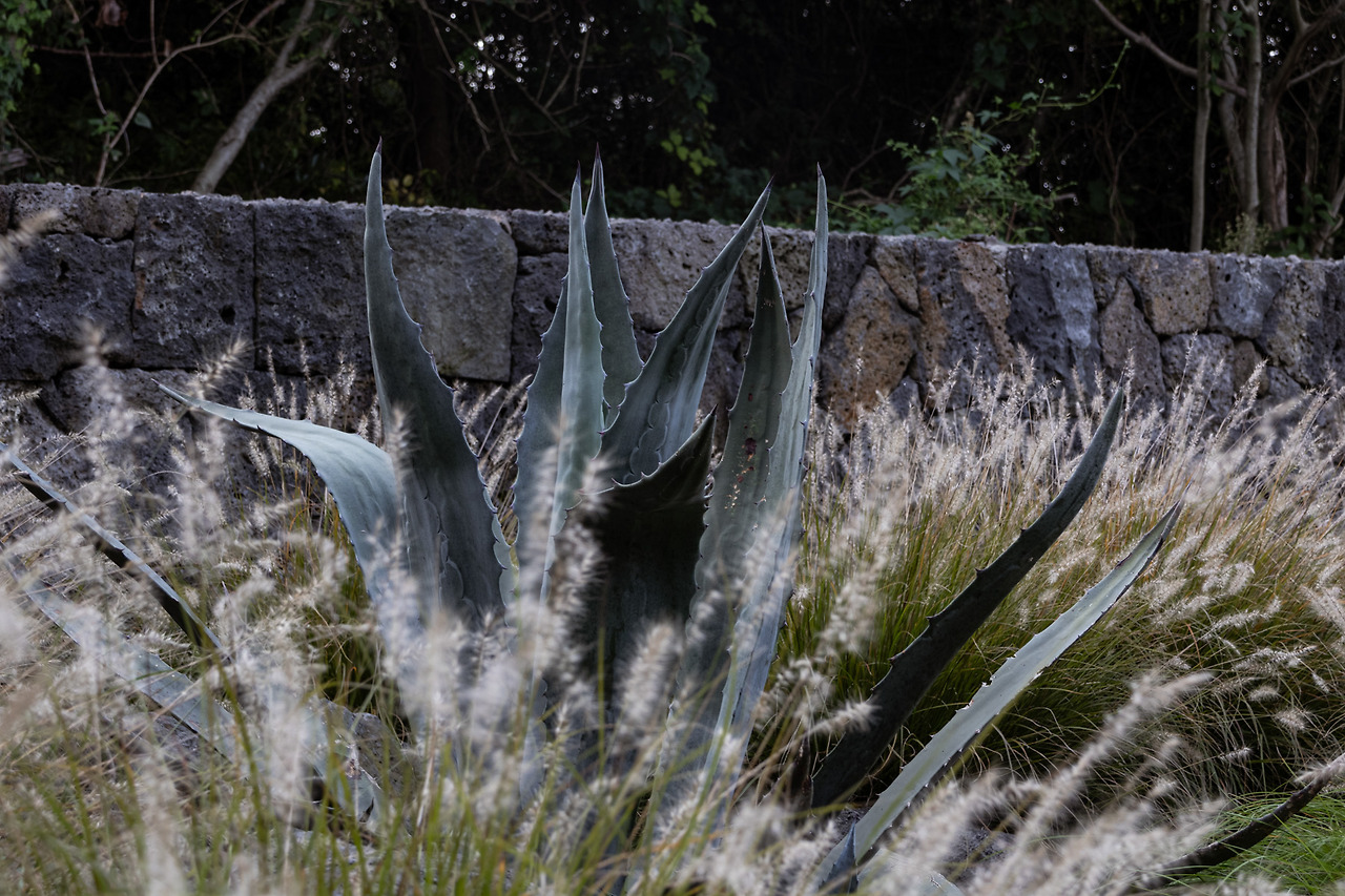 해우 (36).jpg