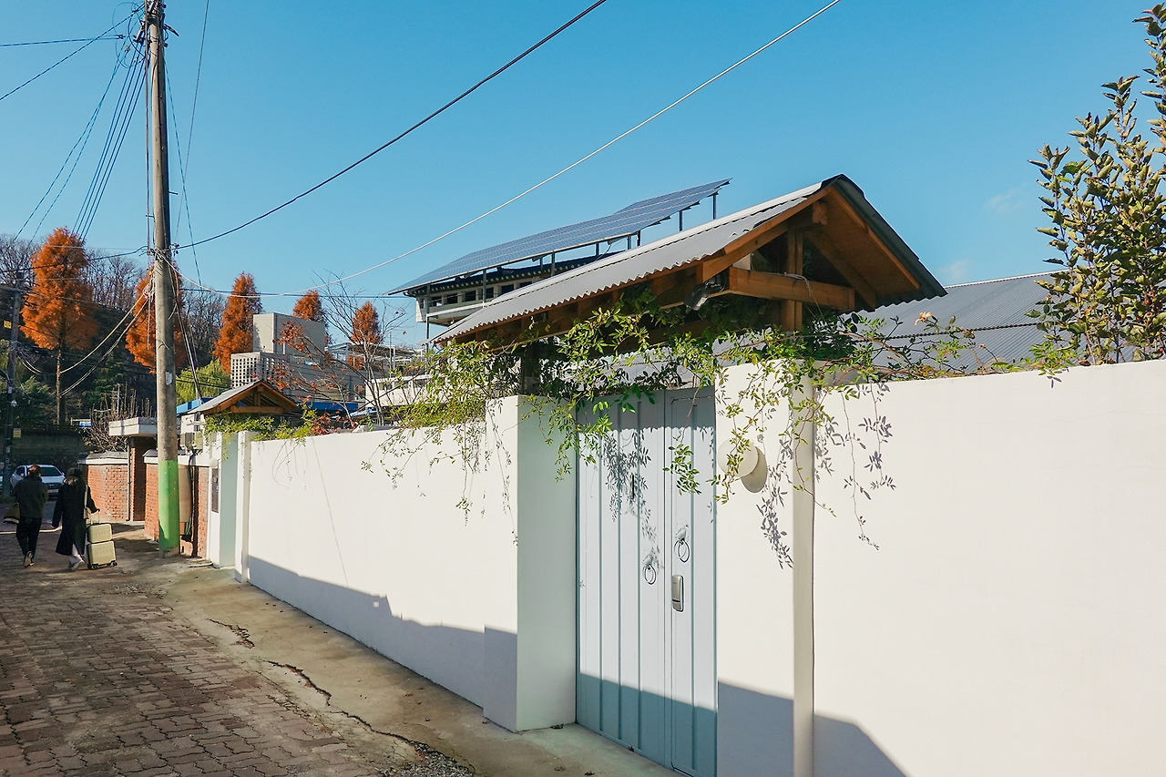 숲과생활 '숲'-23.jpg