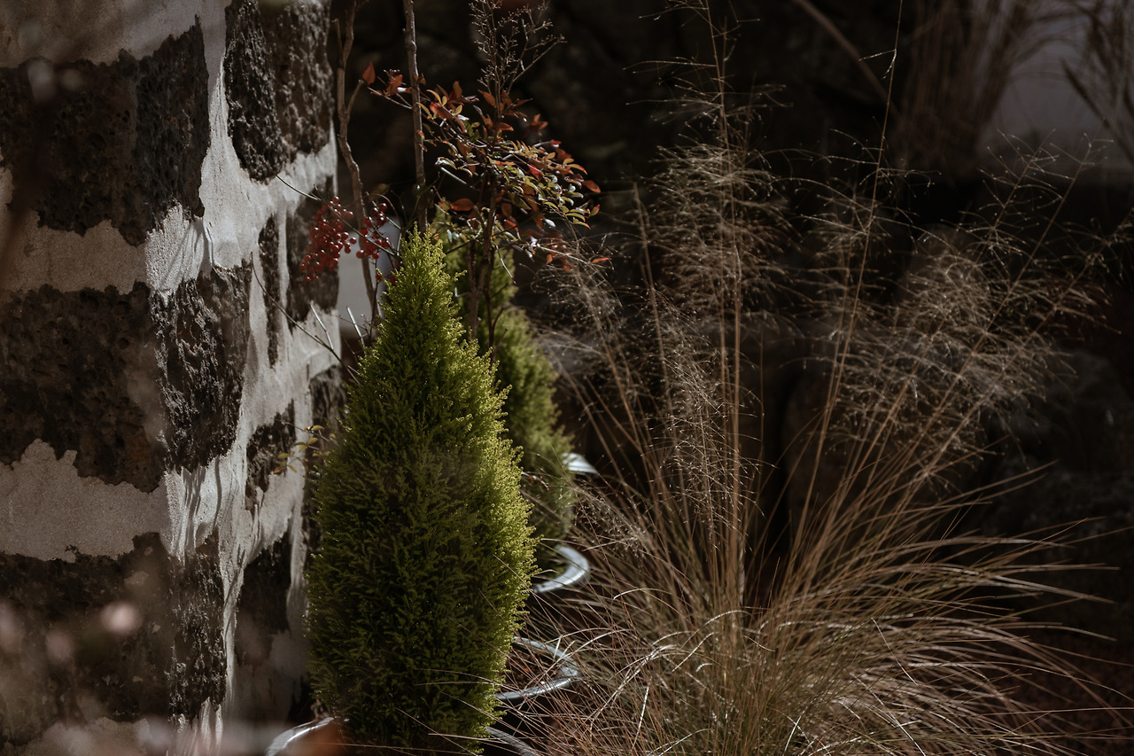 6-1 마당01.jpg