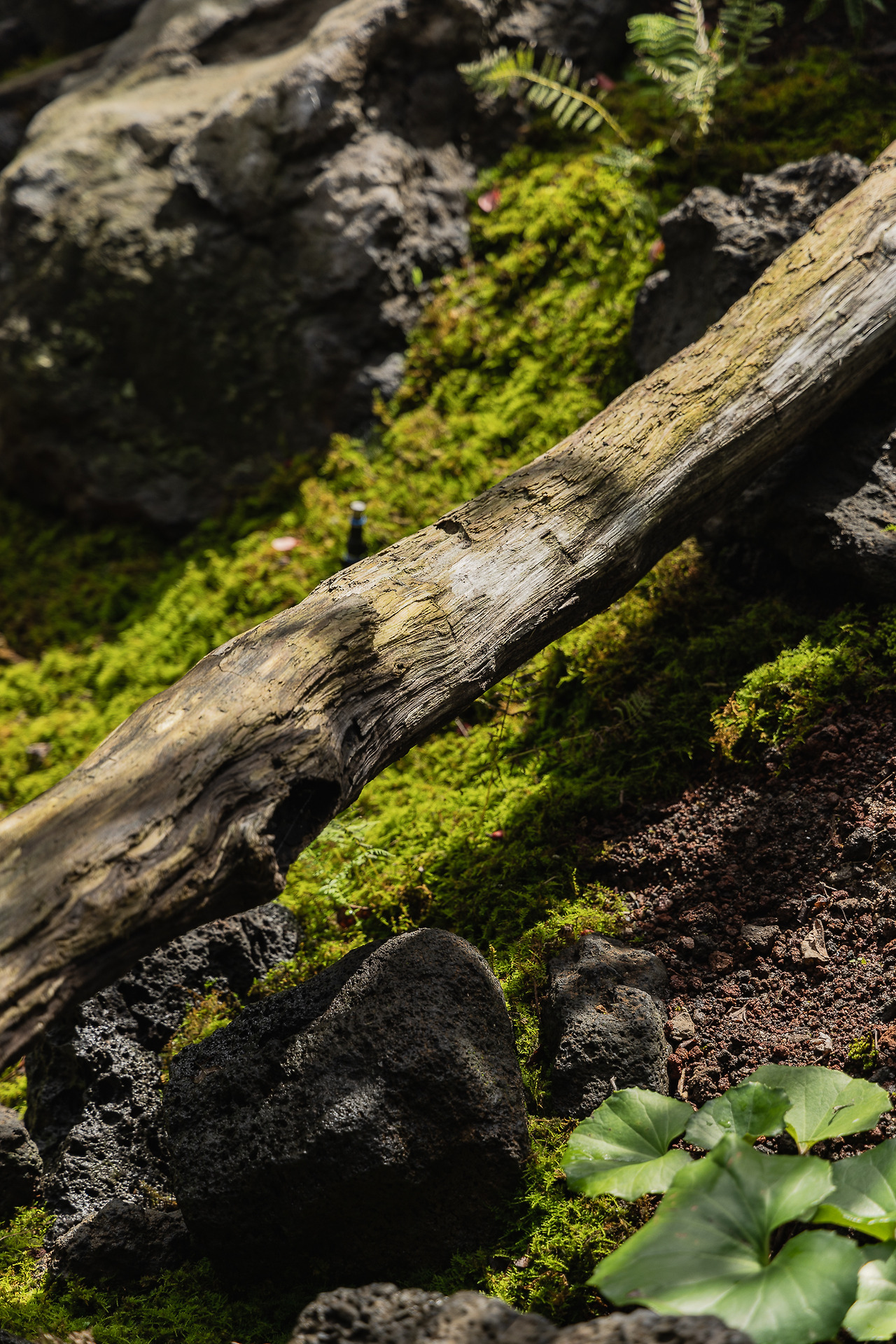 (스테이폴리오) 보스케-07.jpg