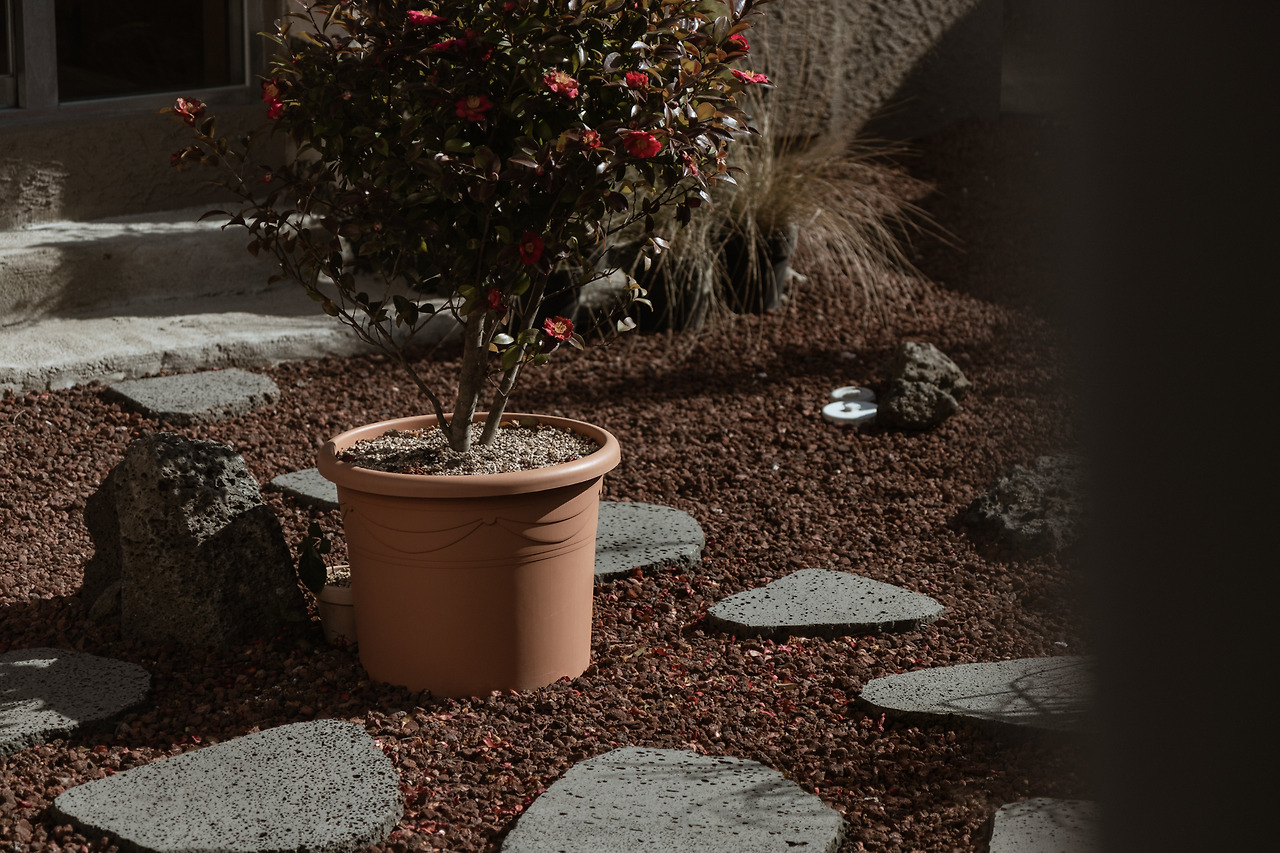 6-2 마당02.jpg