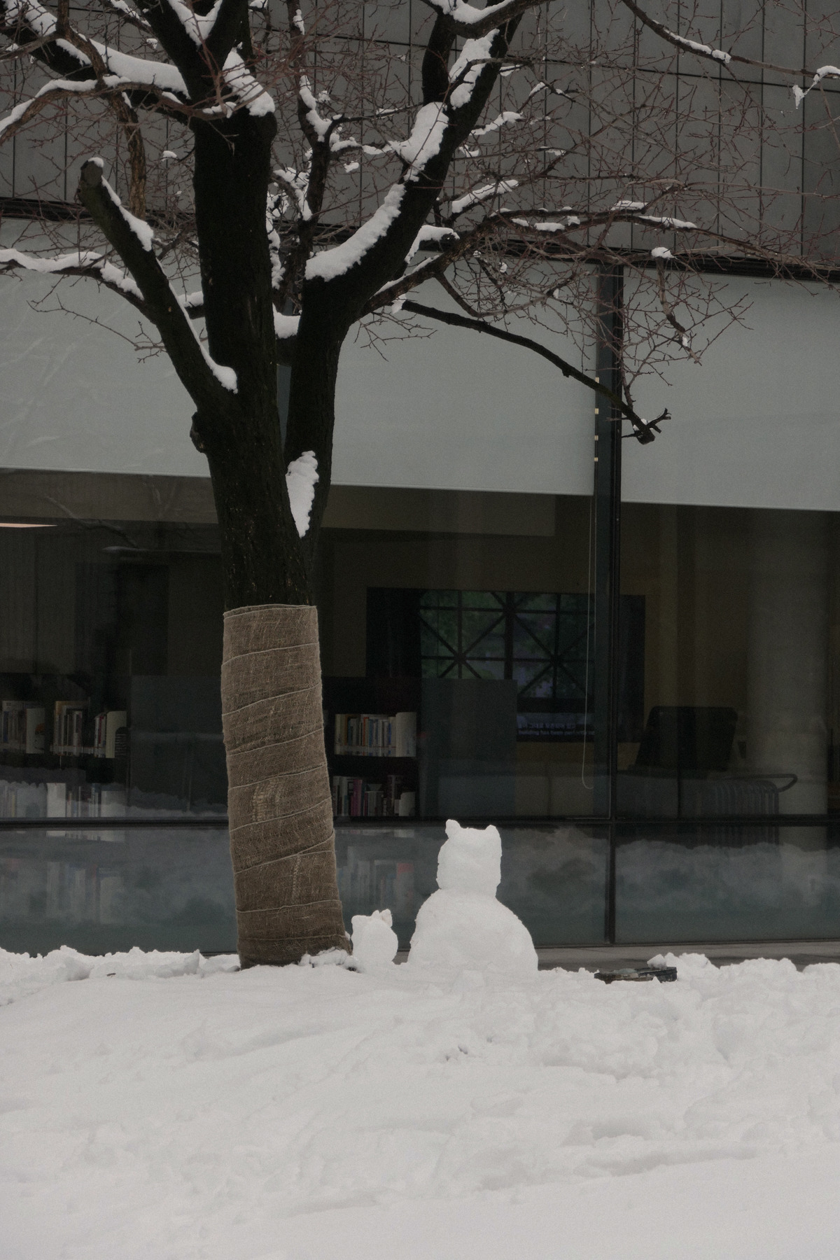 더채하우도 2.jpg