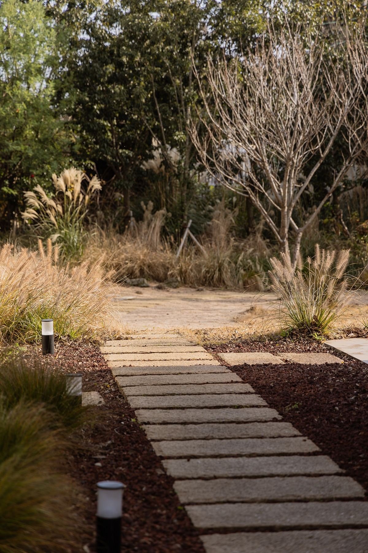 (스테이폴리오) 호근모루-01.jpg