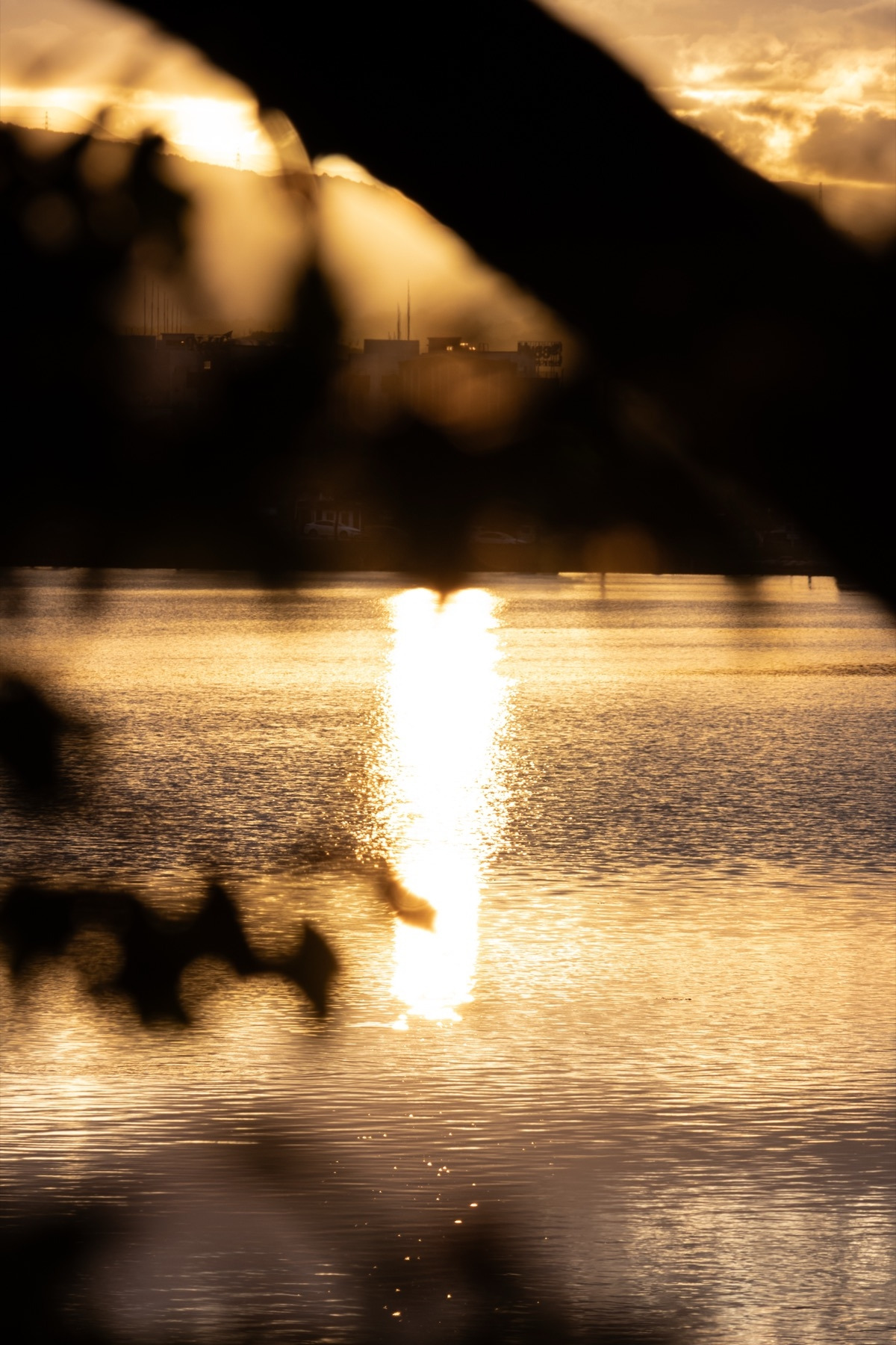 저동하녹41 복사본.jpg