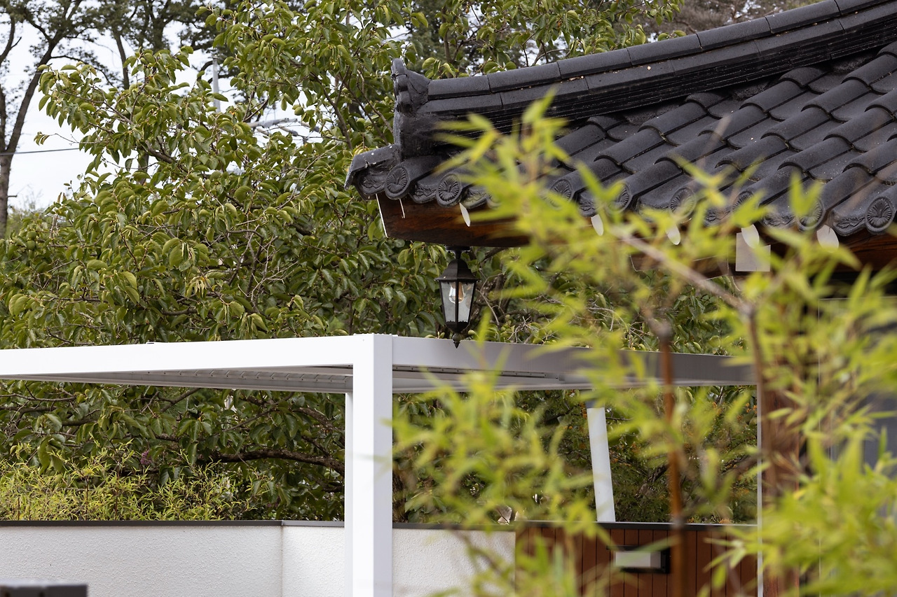 저동하녹9 복사본.jpg