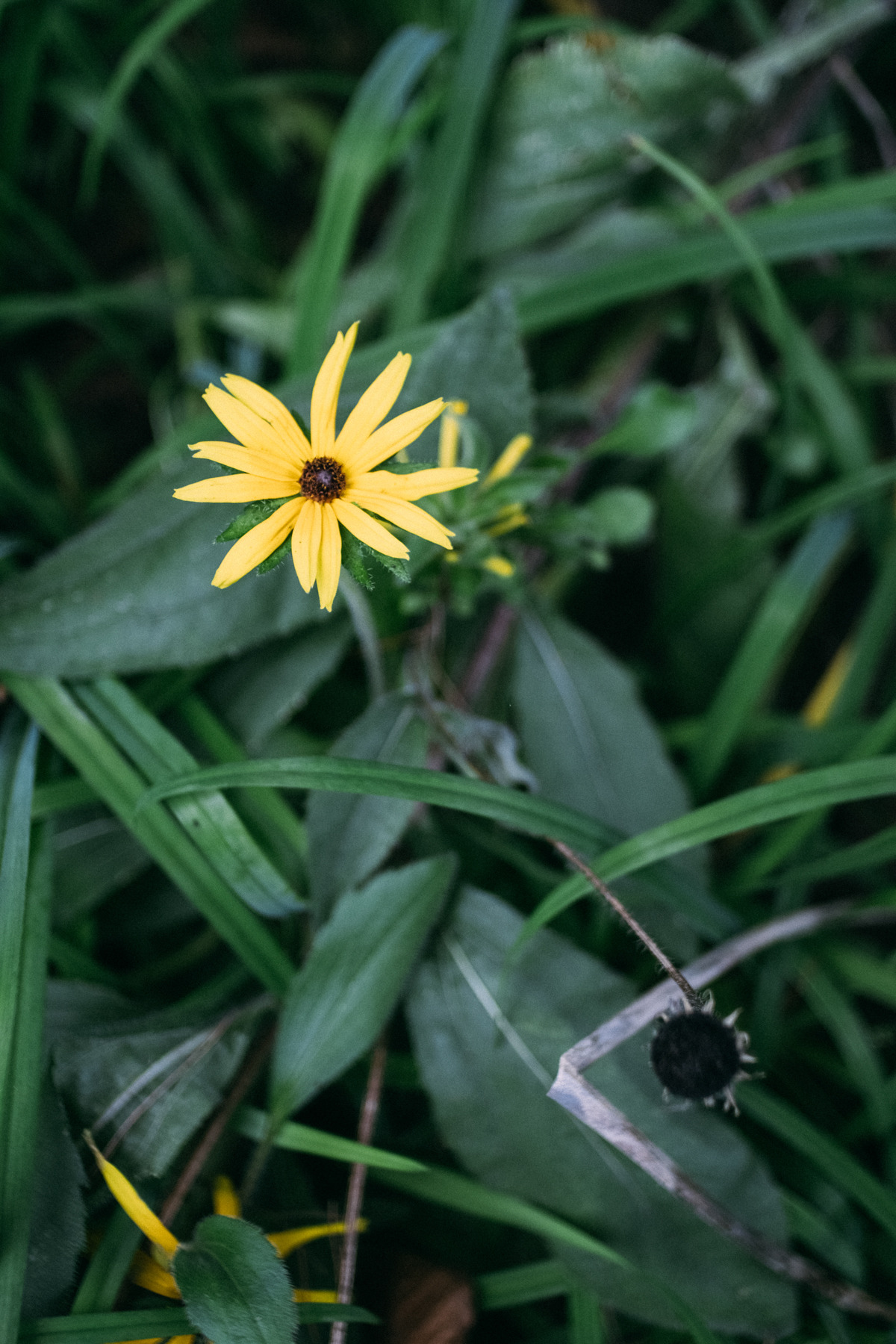 유온스테이 외부1.jpg