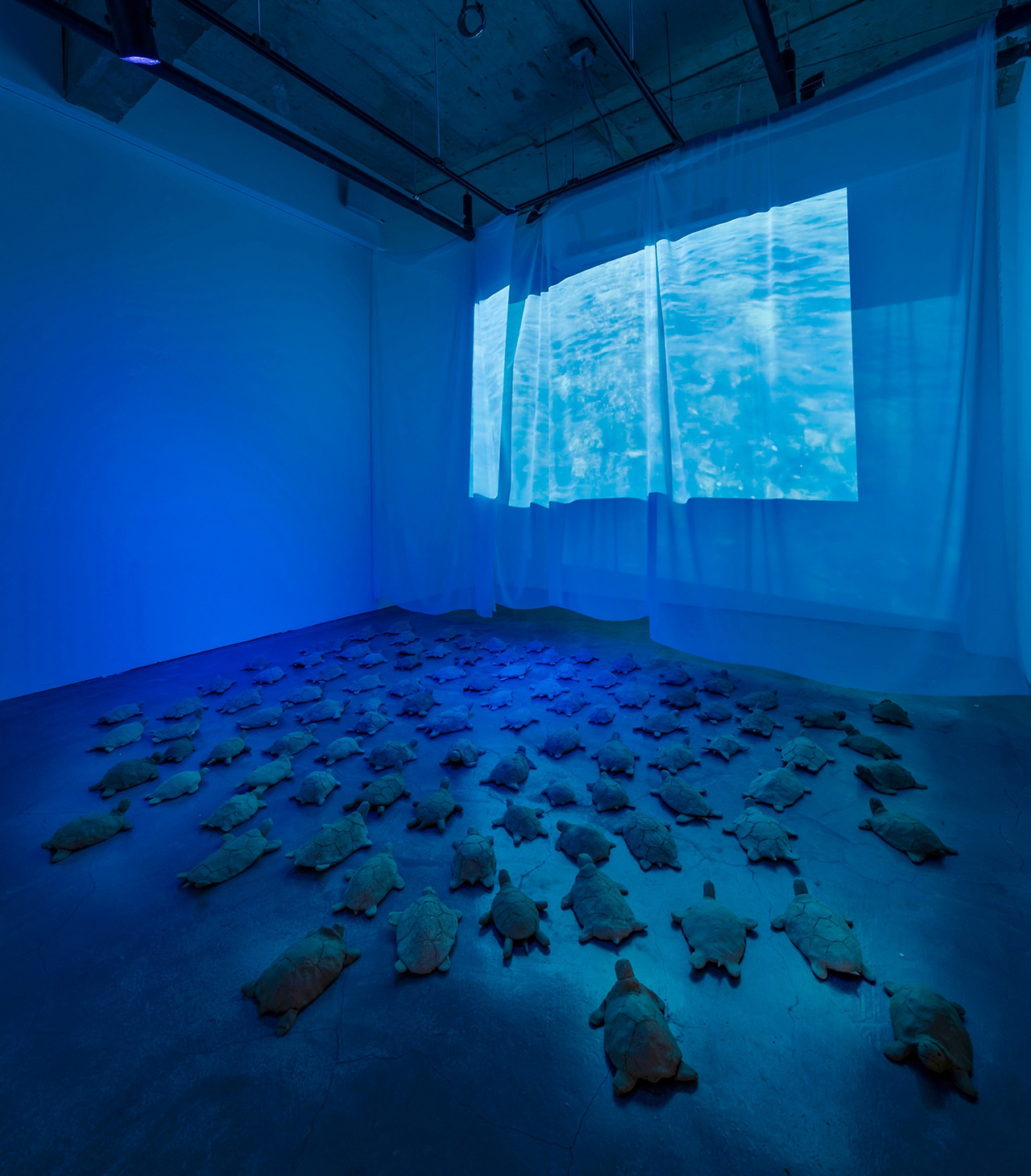 이한나,“Black Warrior”(2022).jpg