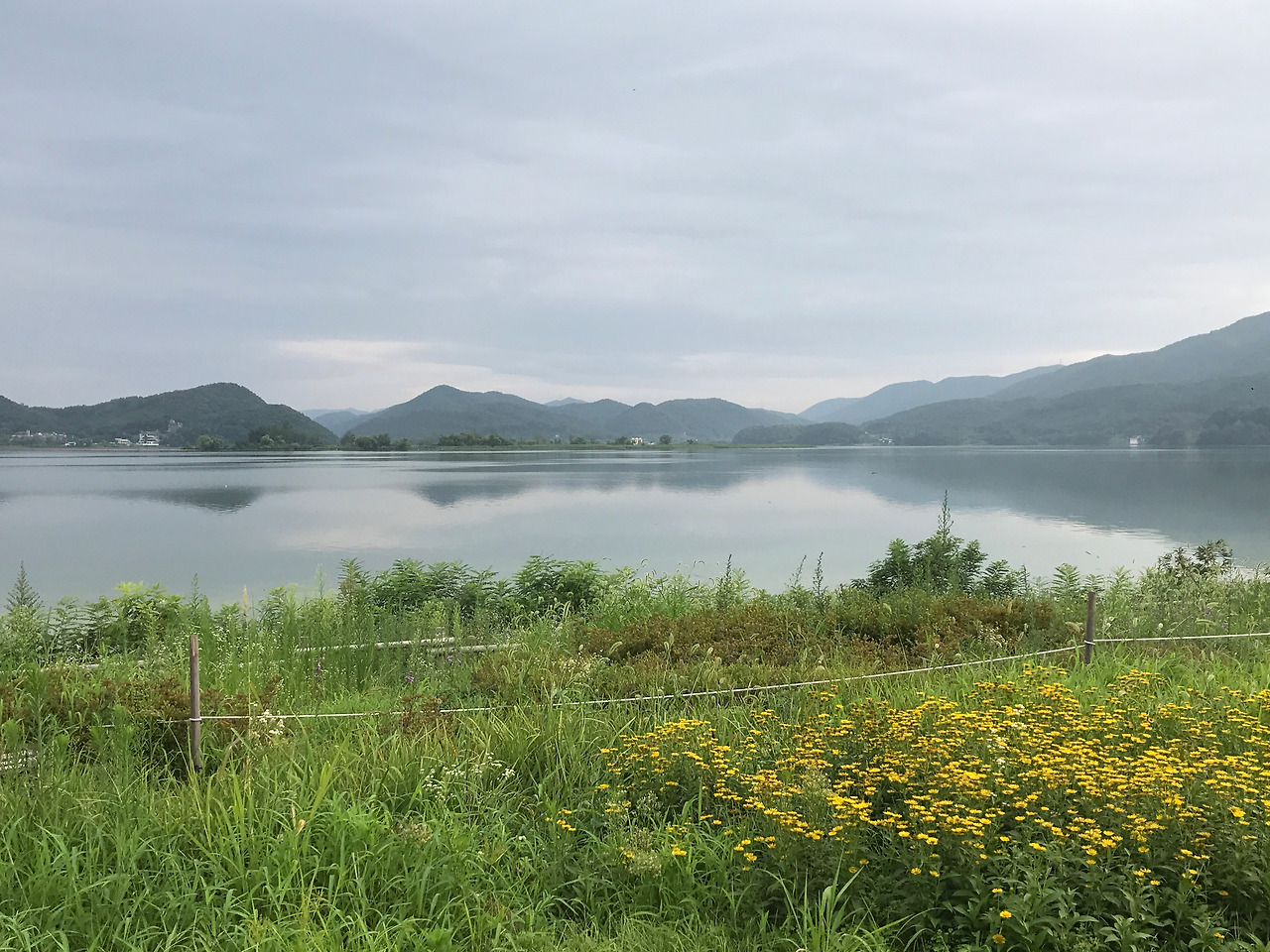 사진 2017. 8. 9. 18 03 43.jpg