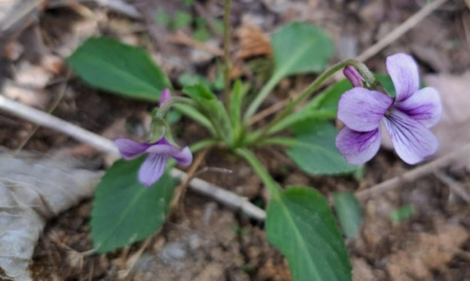 2024-07-30 19화_버릴수없는책10.jpg