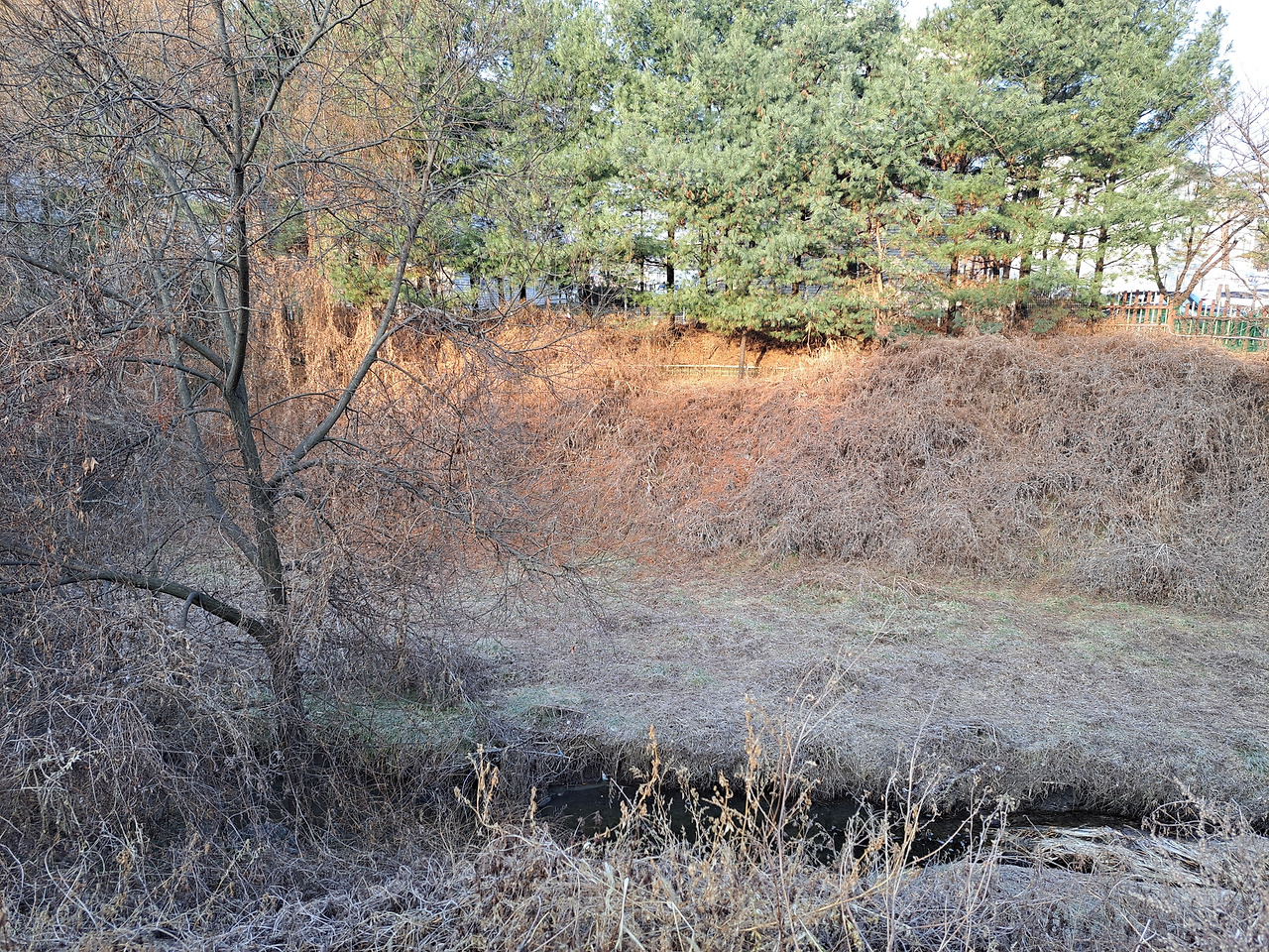 공황장애 일기_사진_20240213_1.jpg