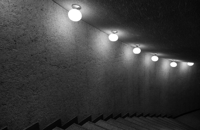 2024-08-22 새로운 사람3.jpg