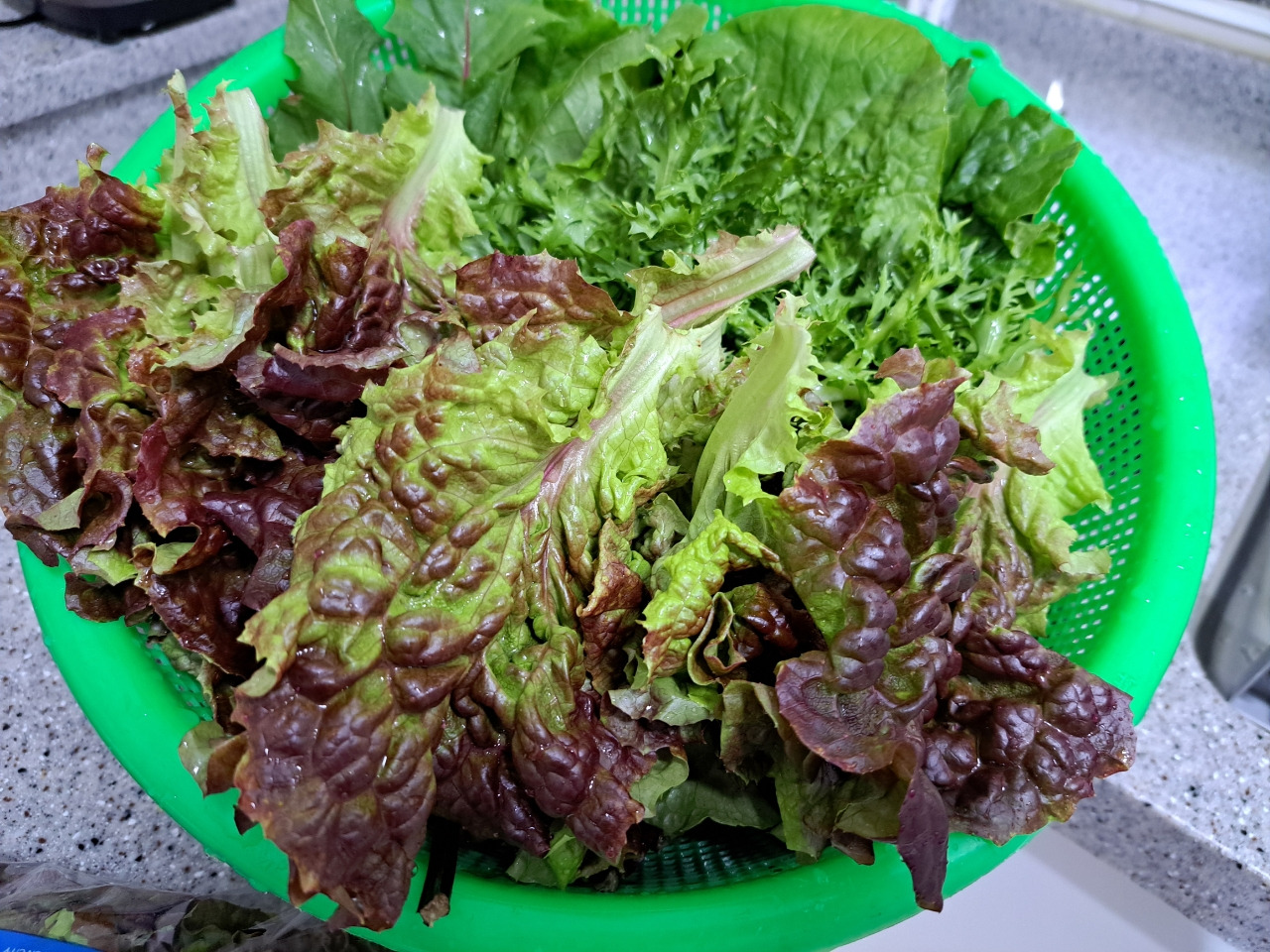 공황장애(퇴직) 일기_사진_20240313_2.jpg