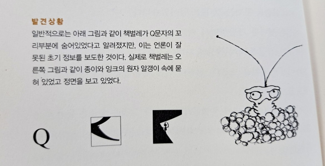 2024-09-24 책벌레3.jpg