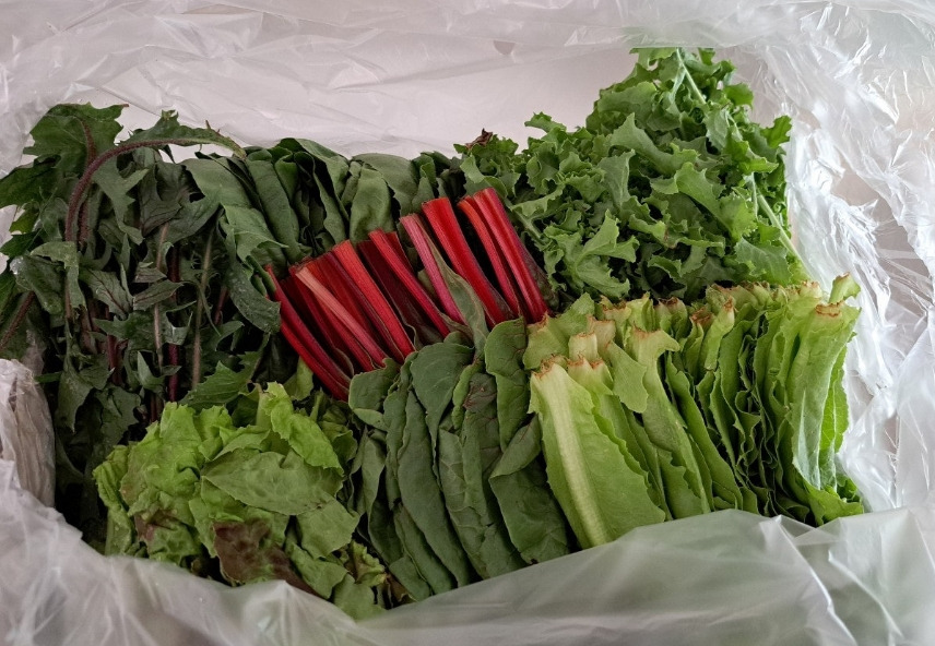 2024-08-29 당뇨와의전쟁6.jpg