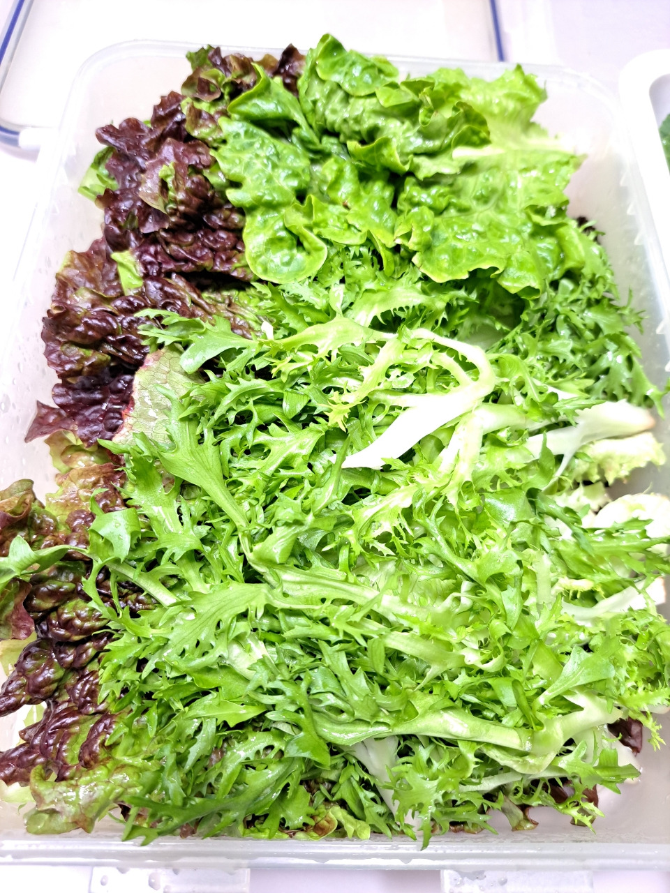 공황장애(퇴직) 일기_사진_20240313_4.jpg