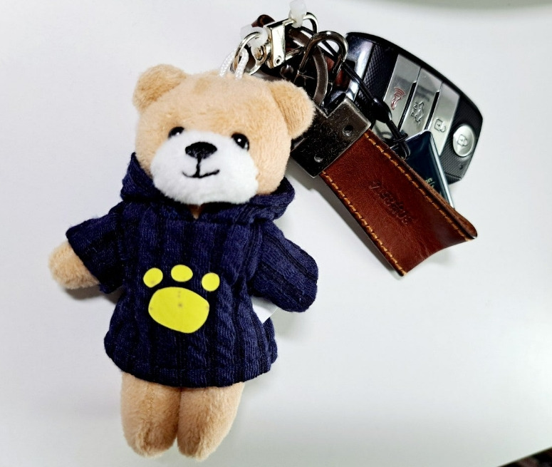 2024-08-10 다이소_곰돌이인형.jpg