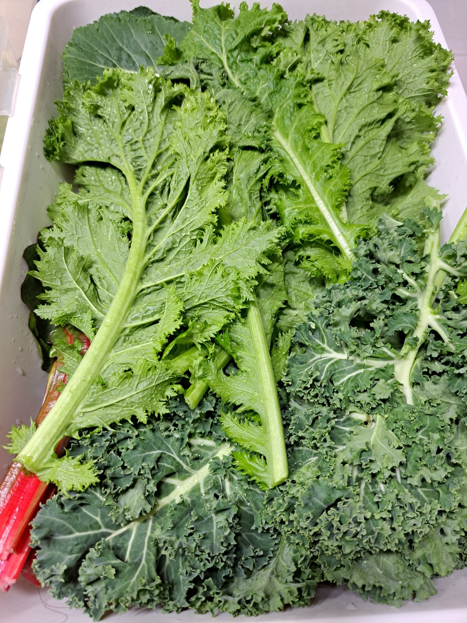 공황장애(퇴직) 일기_사진_20240313_3.jpg