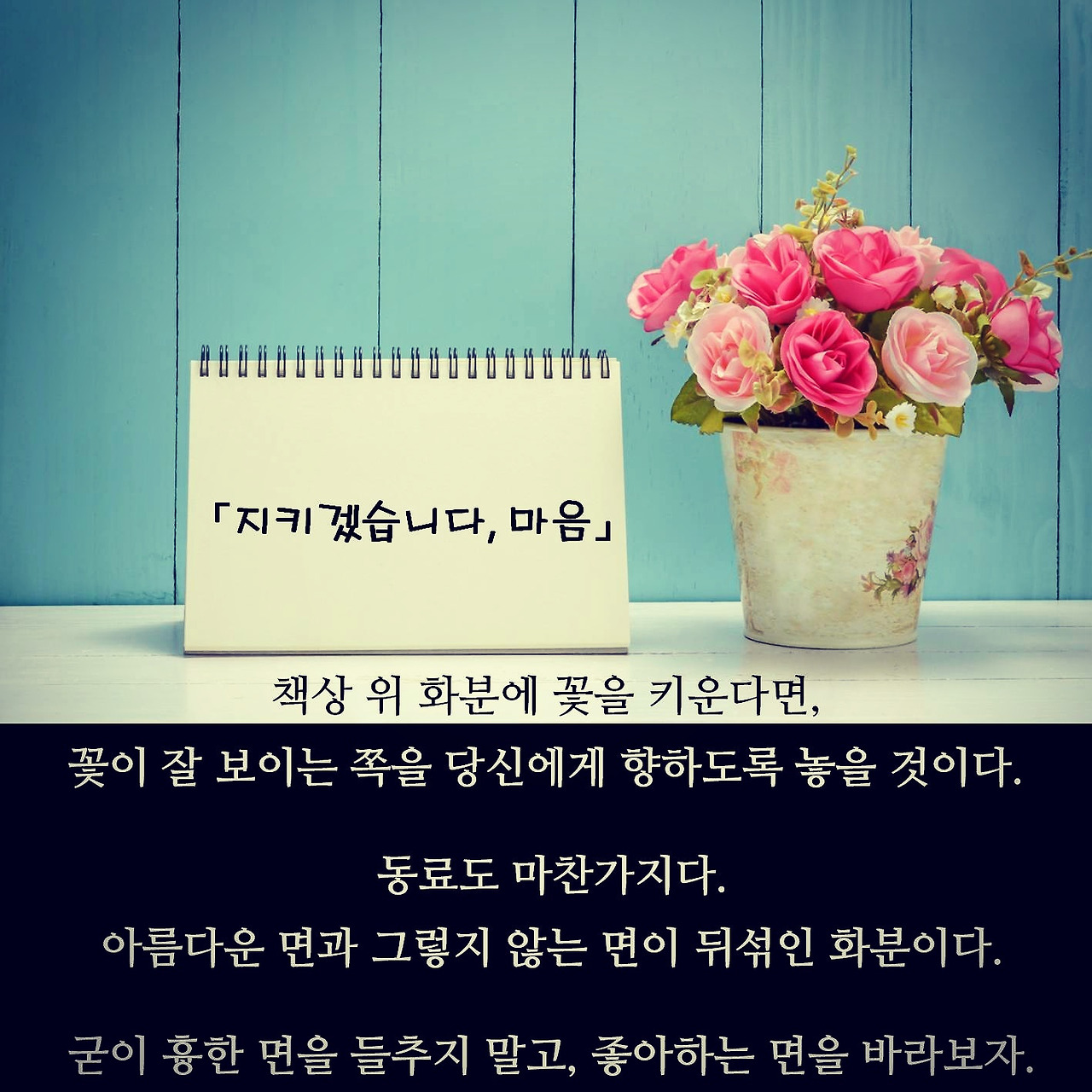 23_장단점화분(인스타).jpg
