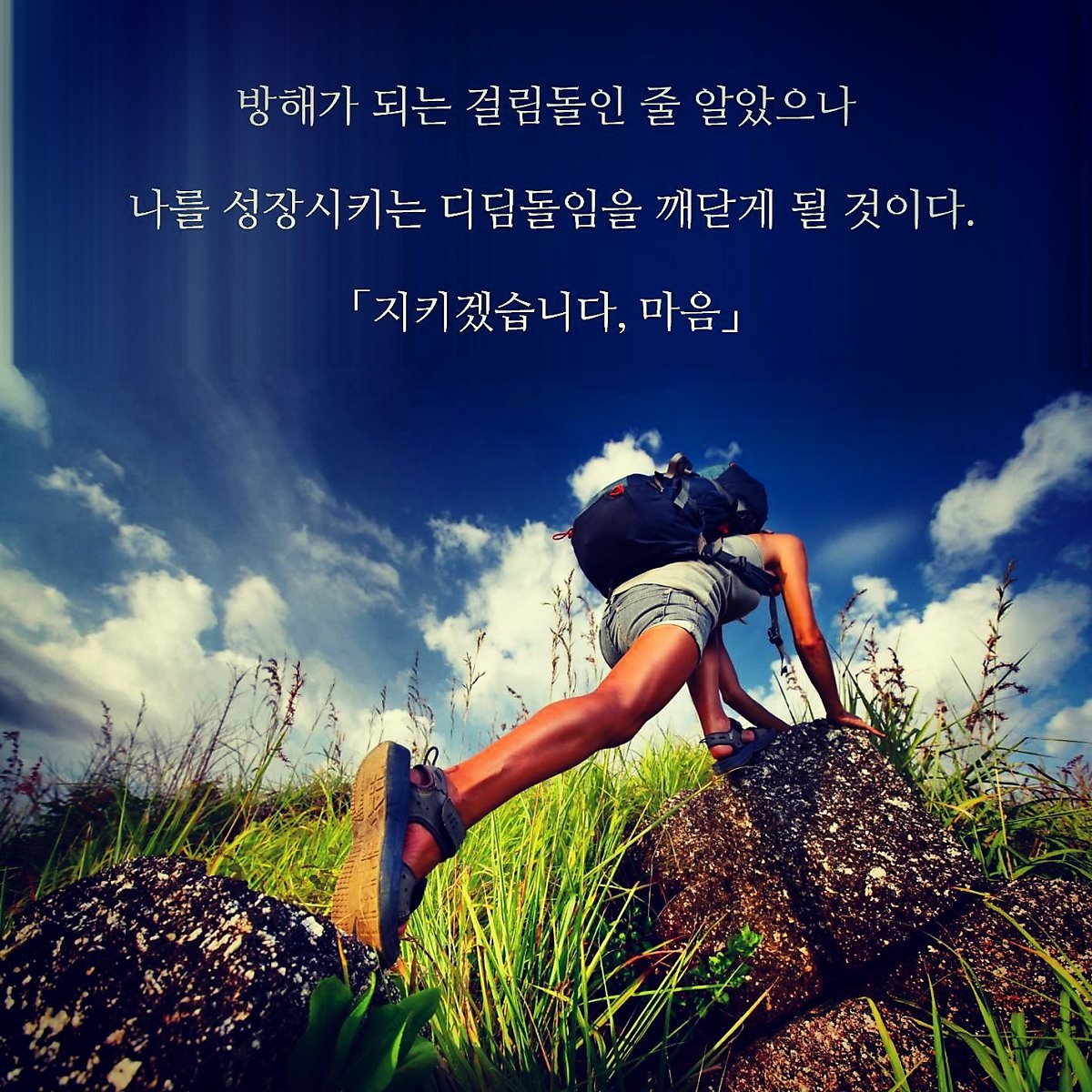 05_디딤돌(인스타_보정).jpg