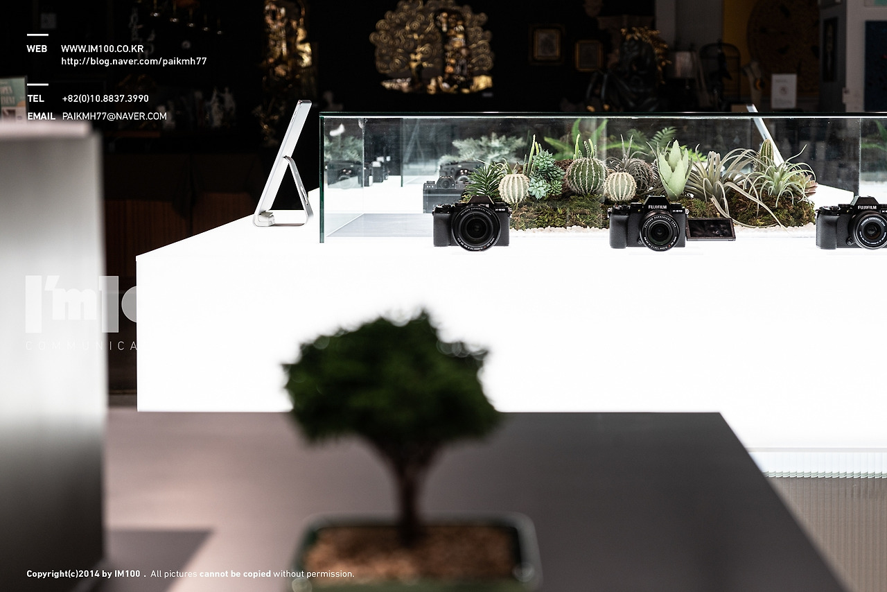 후지필름잠실점백화점인테리어 (30).jpg