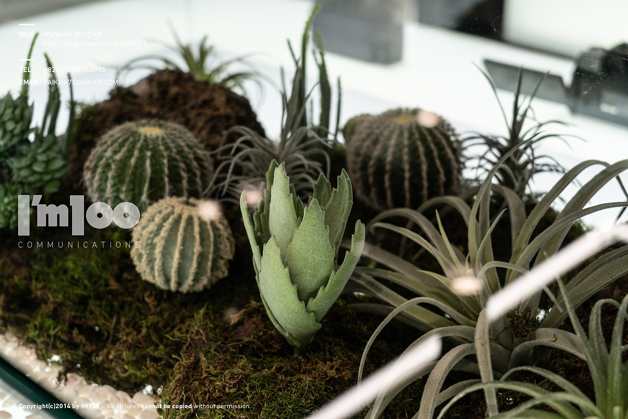 후지필름잠실점백화점인테리어 (31).jpg