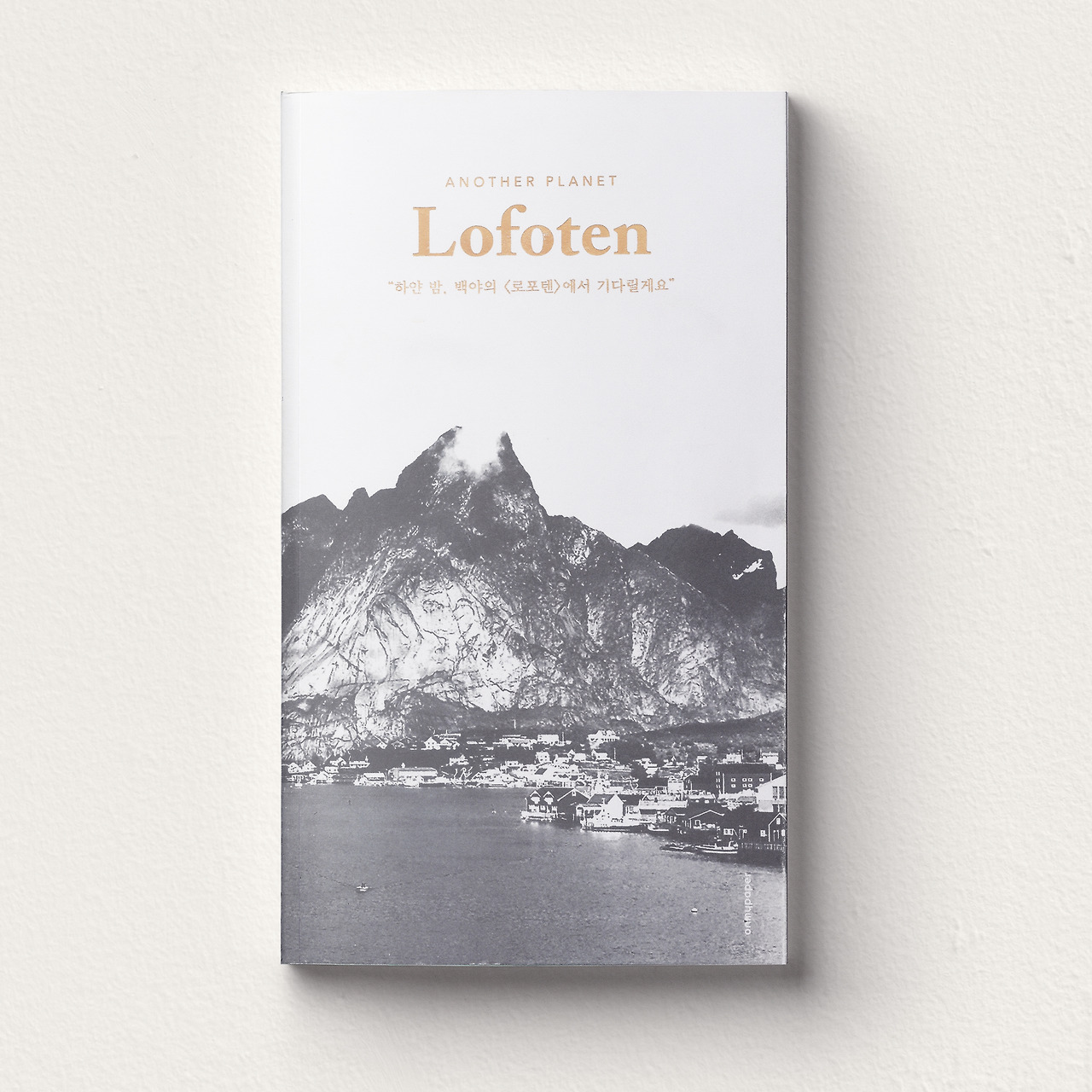 로포텐 인스타.jpg