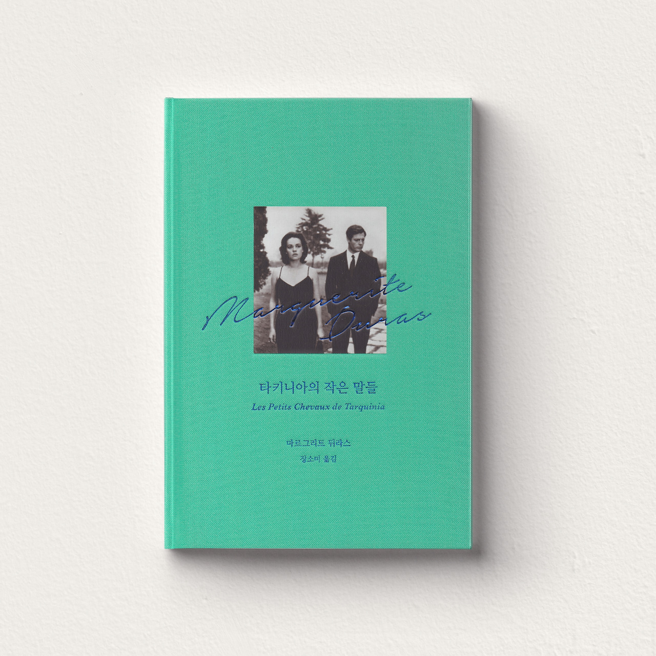 타키니아의 작은 말들 인스타.jpg